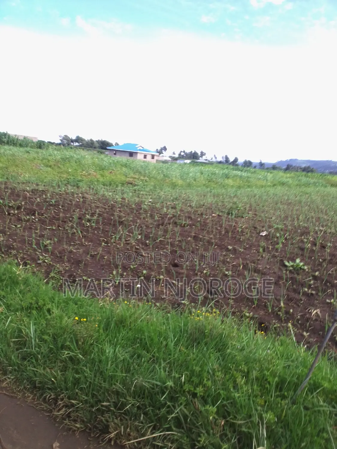1 Acre Mwiciringiri, Naivasha in Naivasha