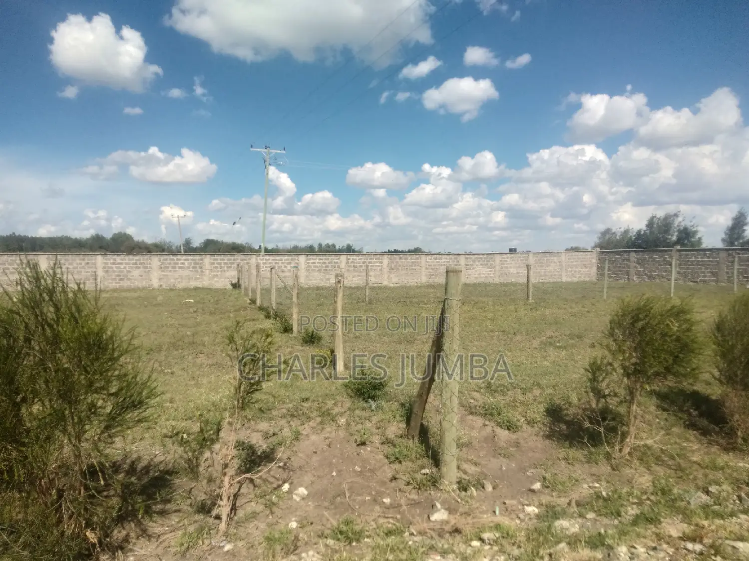 Plots Adjacent to Saitoti's Place - For Purchase in Kitengela