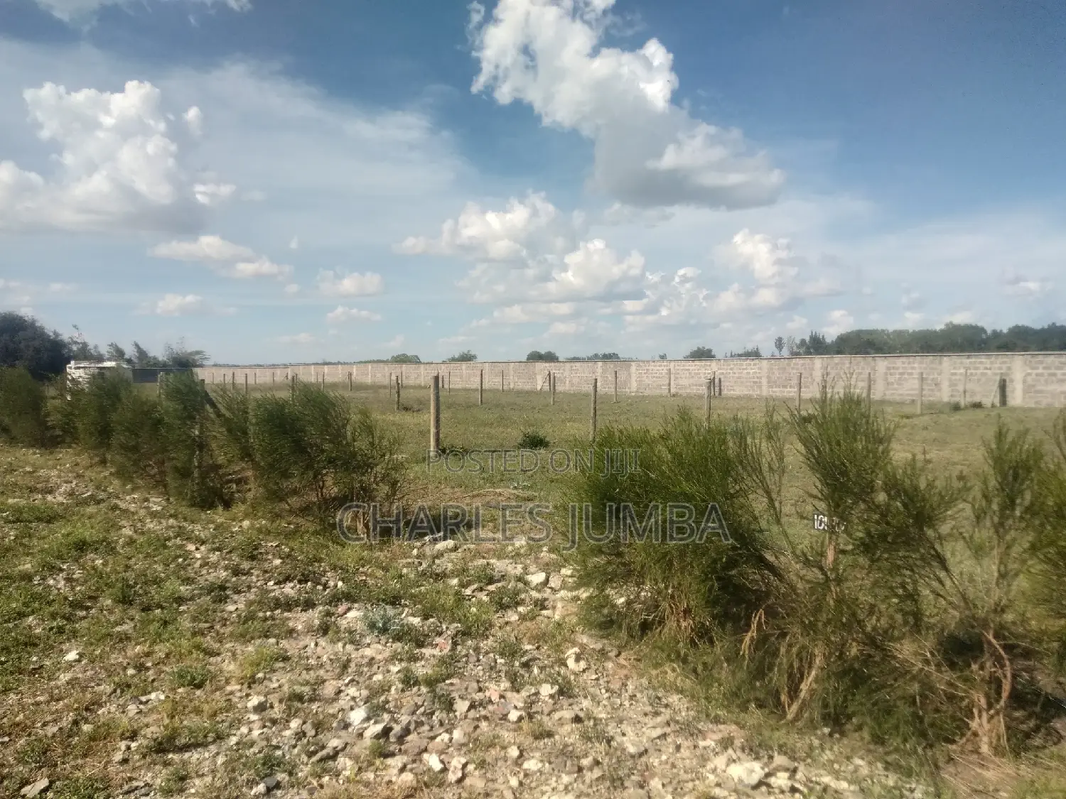 Plots Adjacent to Saitoti's Place - For Purchase in Kitengela