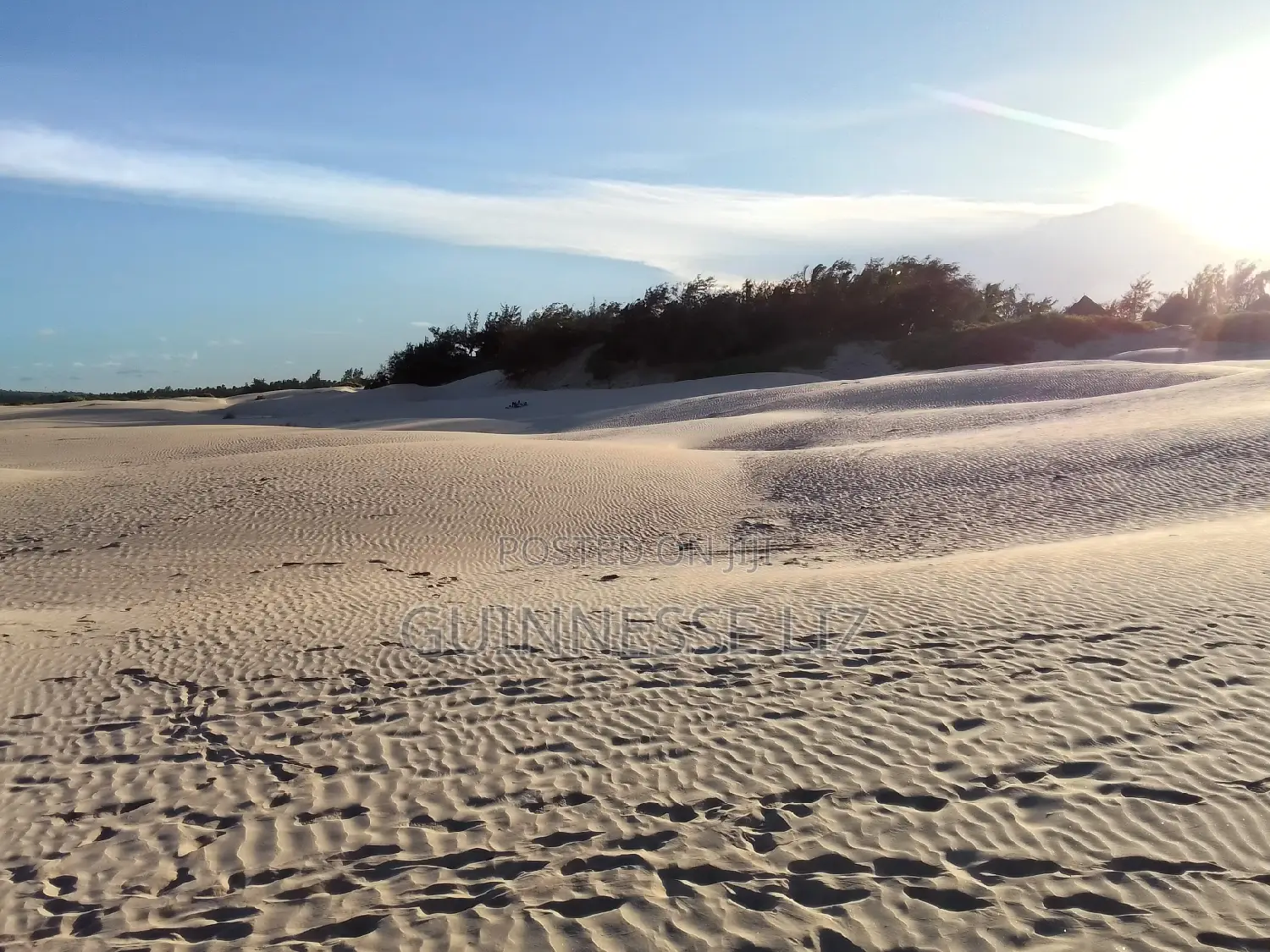 Pristine Mamburui Beach Land: 6M/Acre for Sale in Sabaki