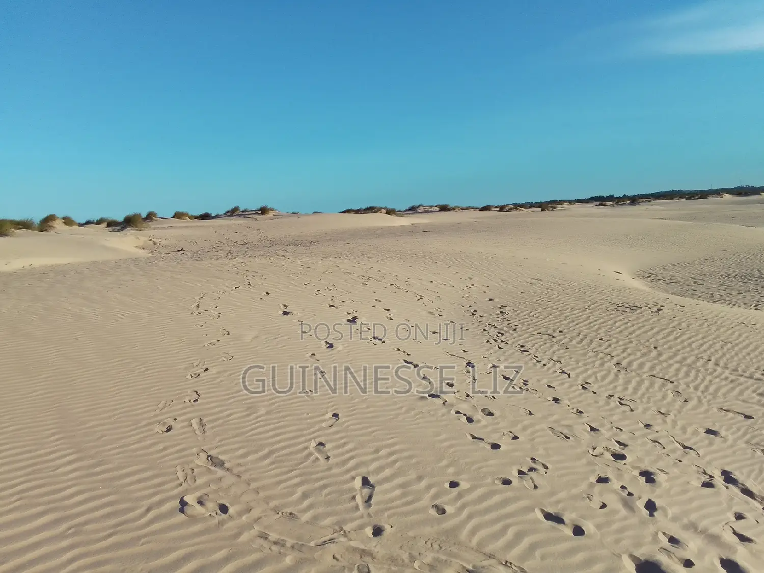 Pristine Mamburui Beach Land: 6M/Acre for Sale in Sabaki