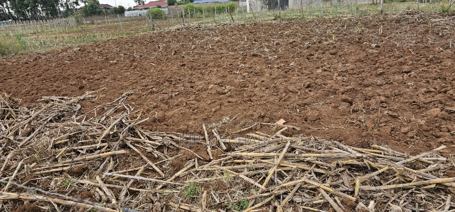 Land Sale in Eldoret: Prime Plot in Chepkoilel Sogomo in Kimumu