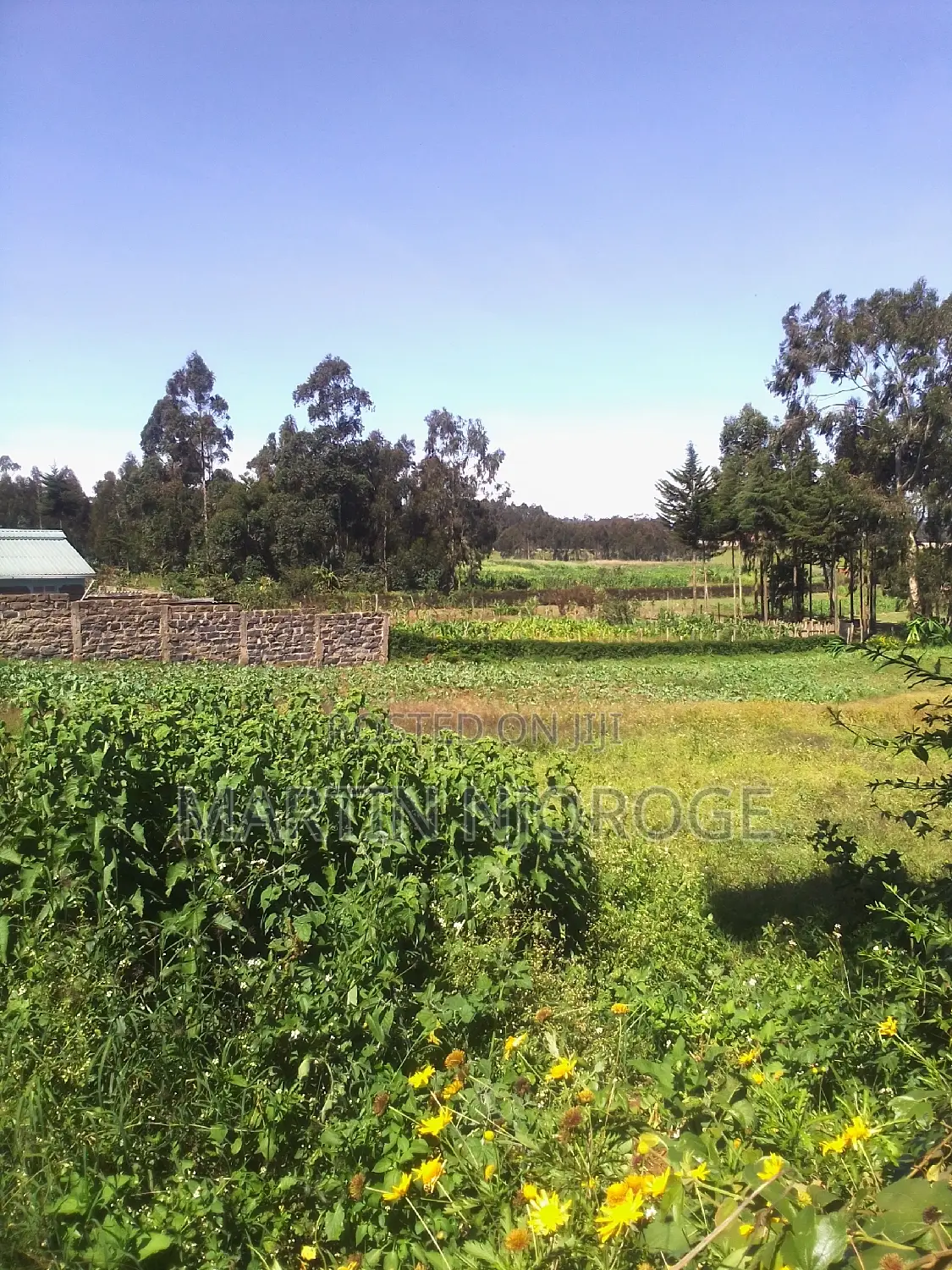 1⁄2 Acre Mwiciringiri in Naivasha East