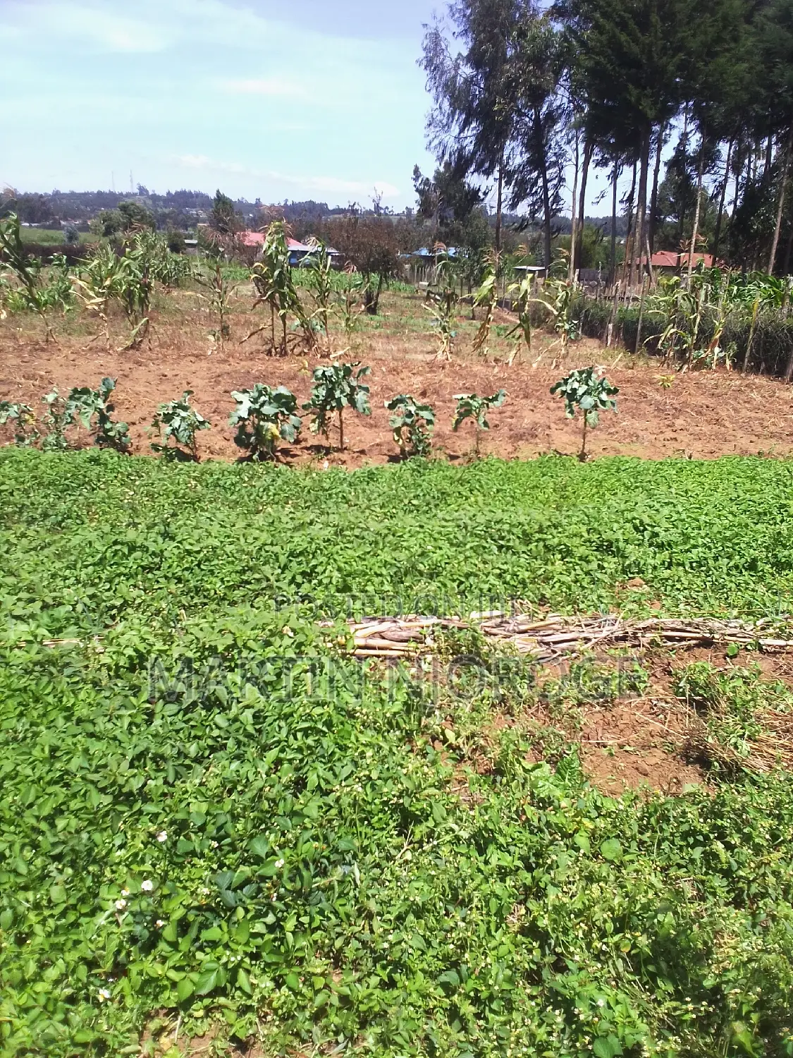 1⁄2 Acre Mwiciringiri in Naivasha East