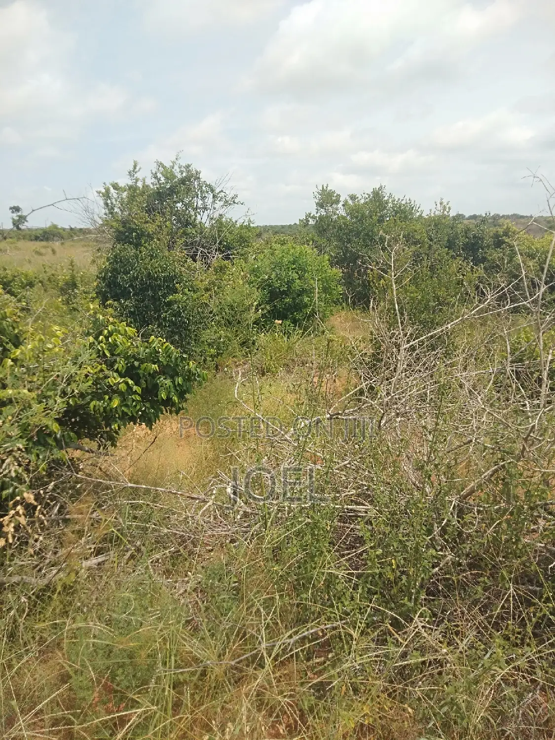 5000-Acre Malindi Land: Unparalleled Opportunity in Coastal Kenya in Malindi