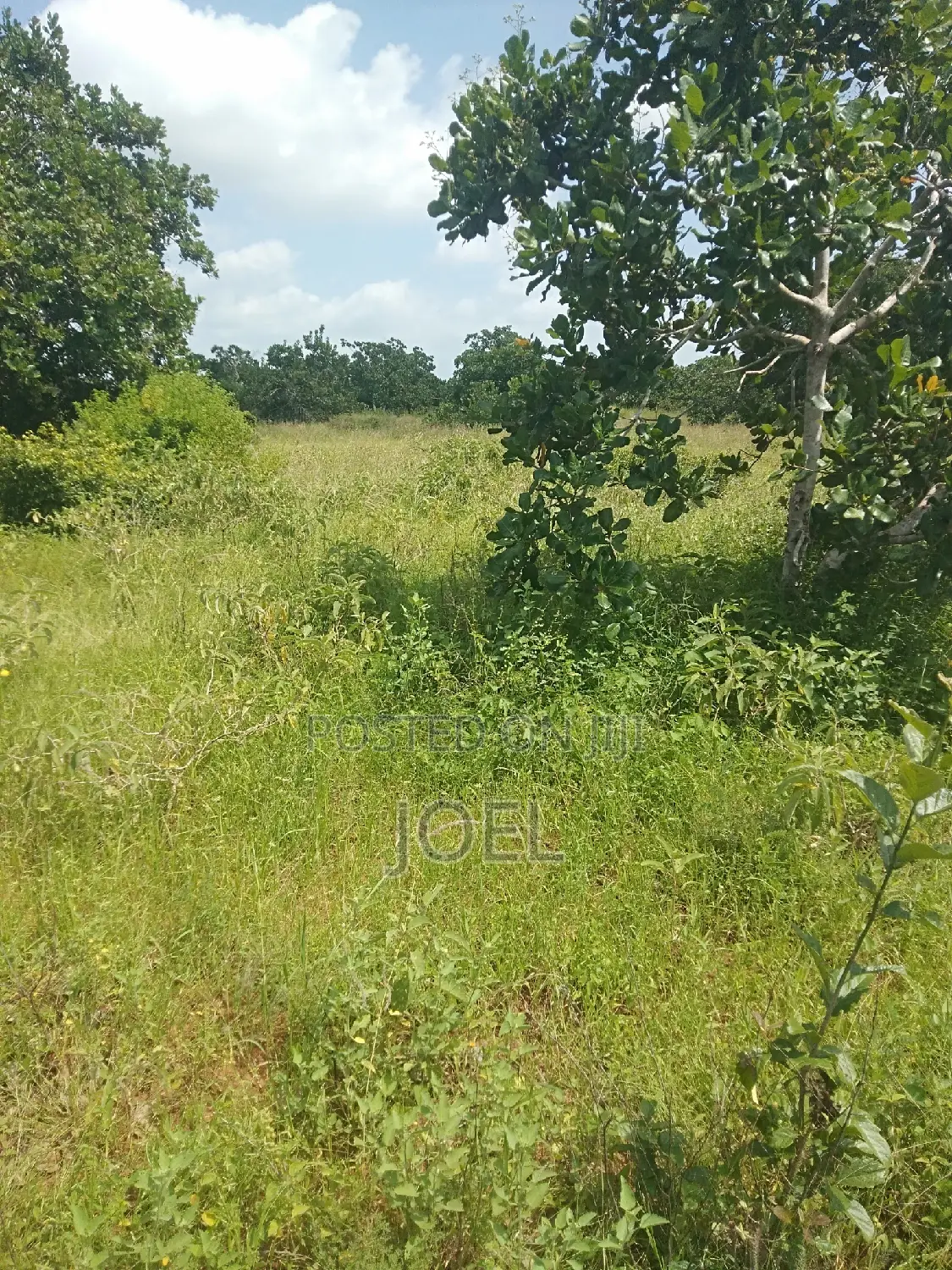 Find Your Investment in 250-Acre Malindi Farmland! in Malindi