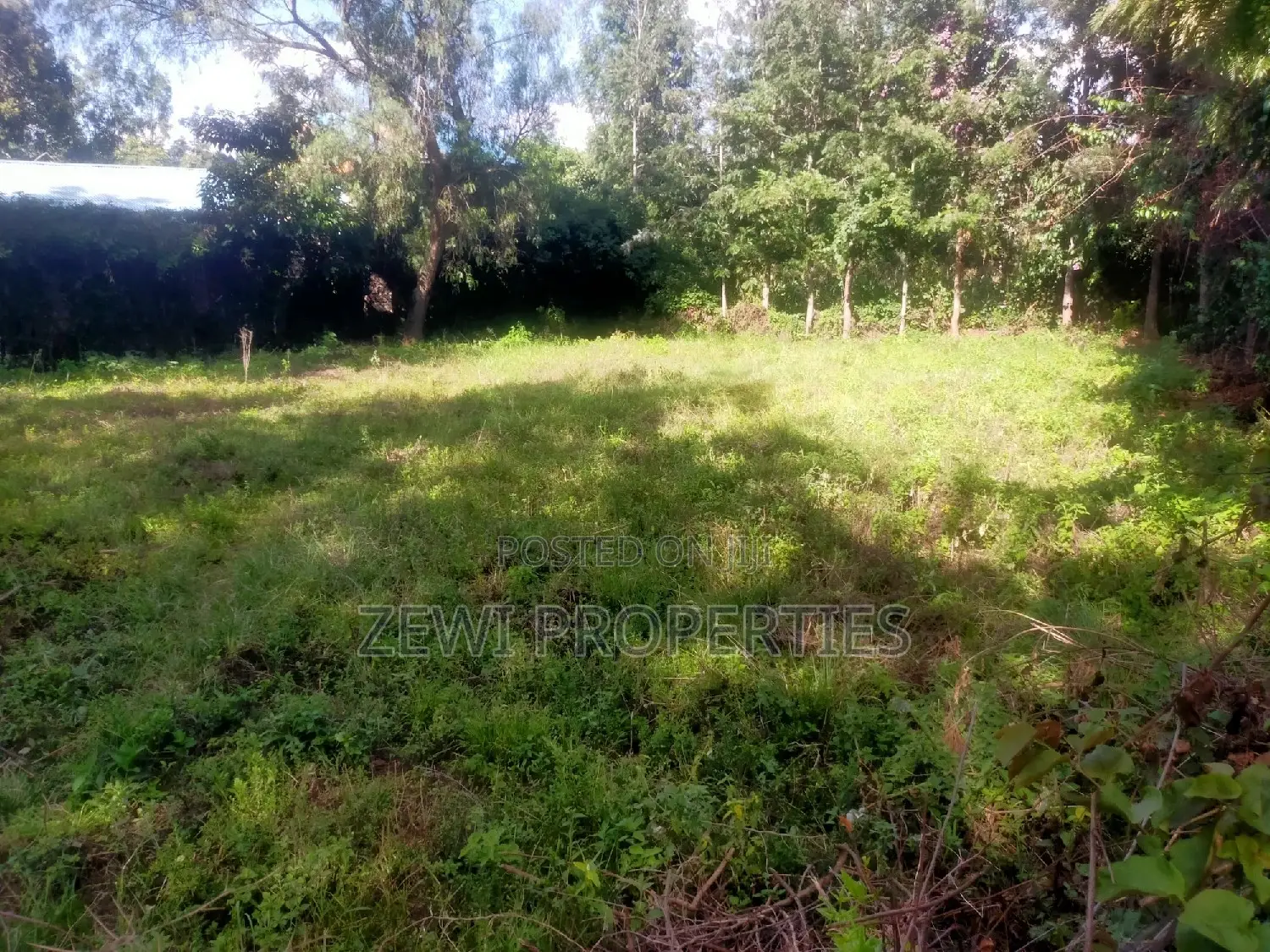 Affordable 1/8 Acre Land in Olkeri - Great Opportunity in Matasia