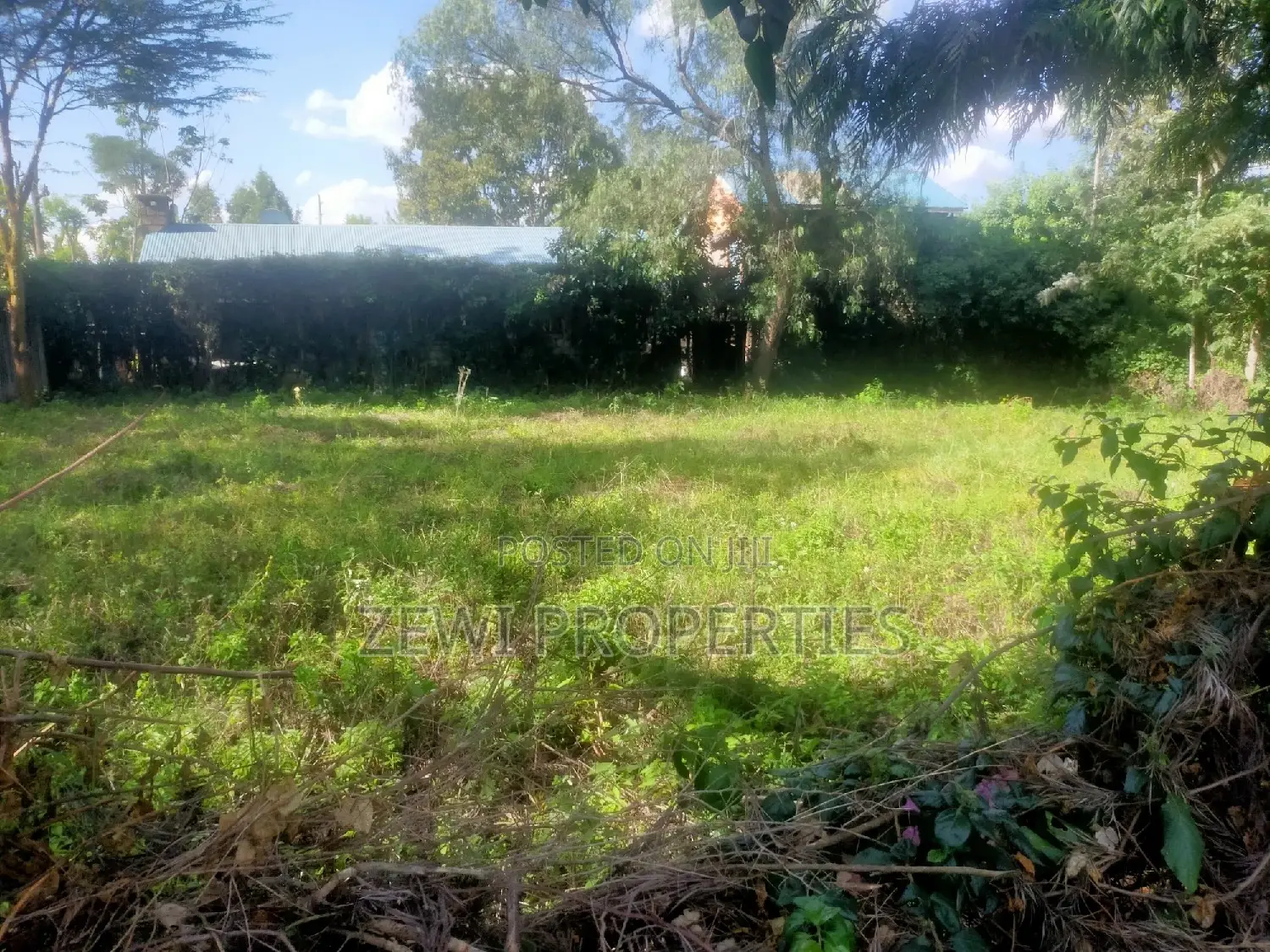 Affordable 1/8 Acre Land in Olkeri - Great Opportunity in Matasia