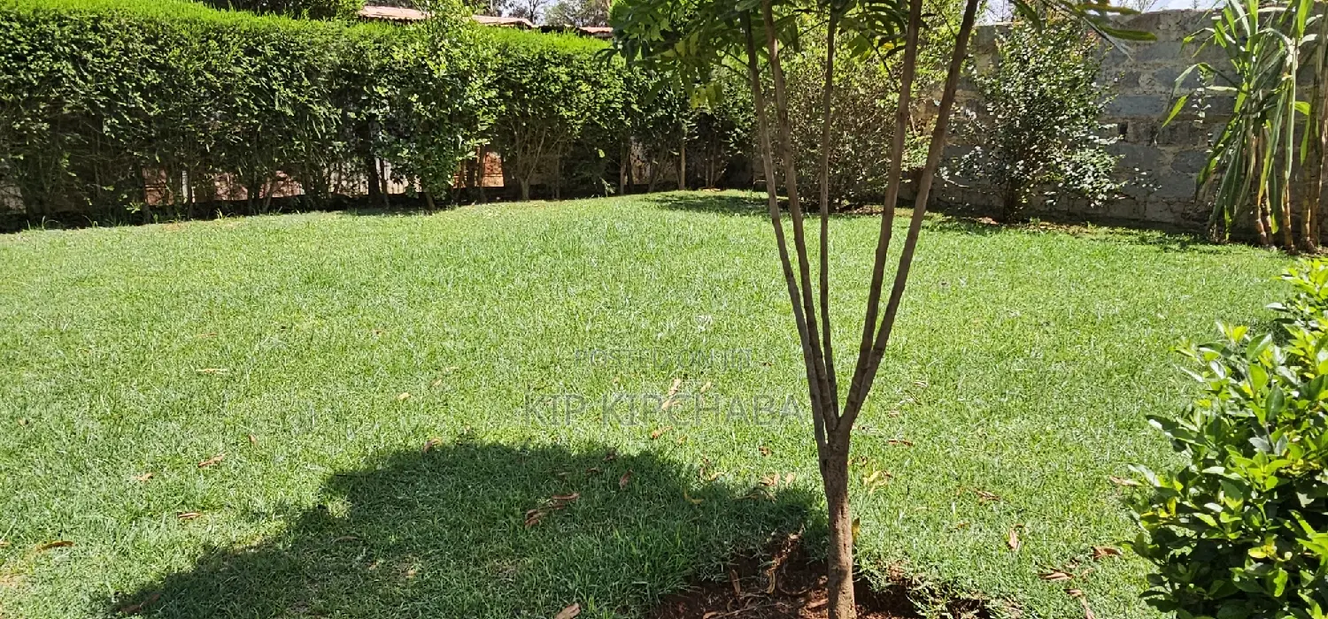 5-Bedroom Mansion in Elgonview Eldoret - Now on the Market in Elgon View