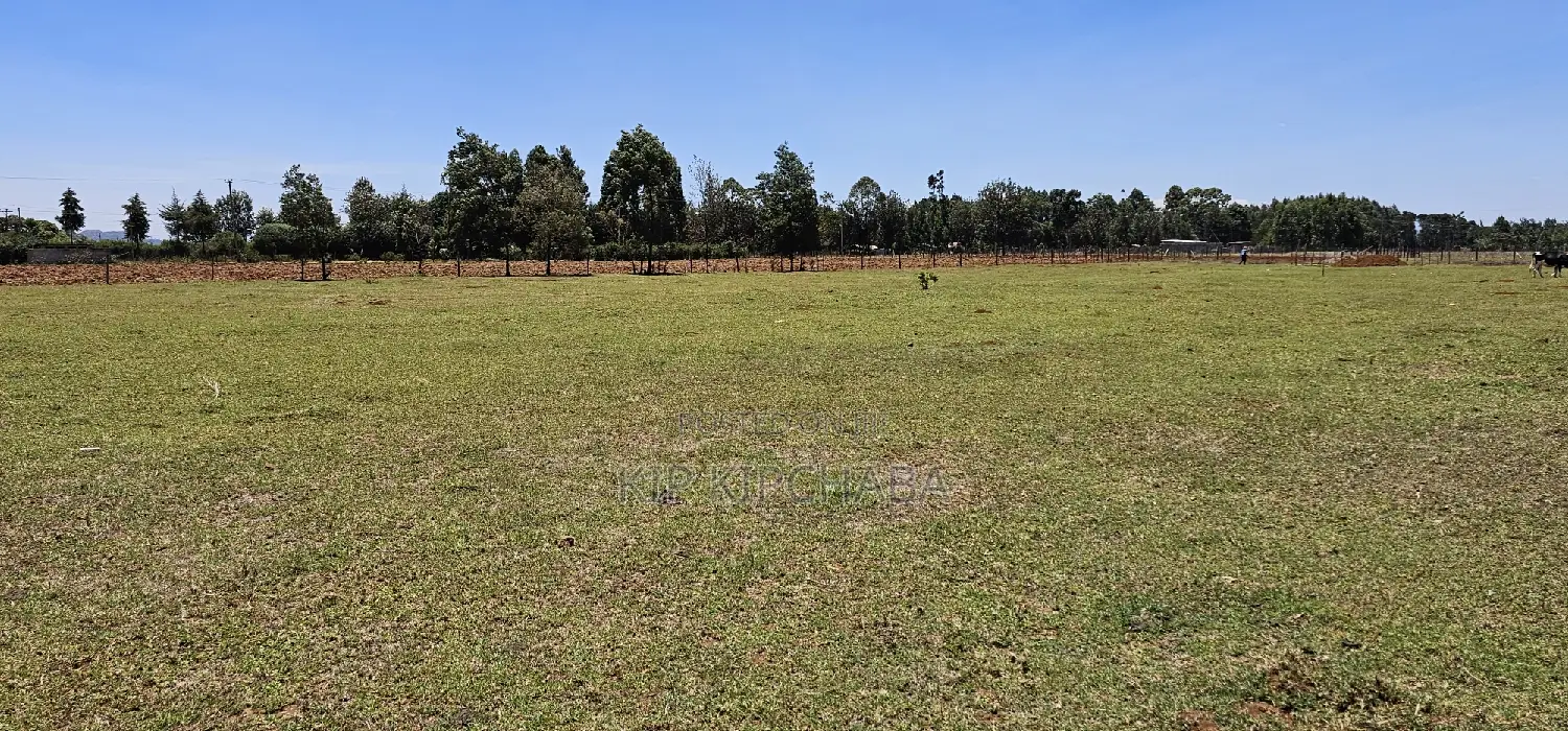 Prime 10 Acres Land for Sale in Eldoret, Perfect for Small Business Investment in Kamagut