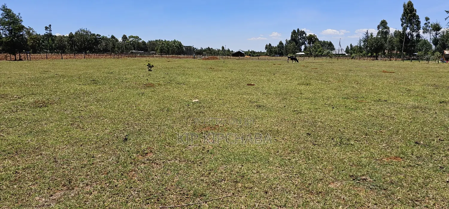 Prime 10 Acres Land for Sale in Eldoret, Perfect for Small Business Investment in Kamagut