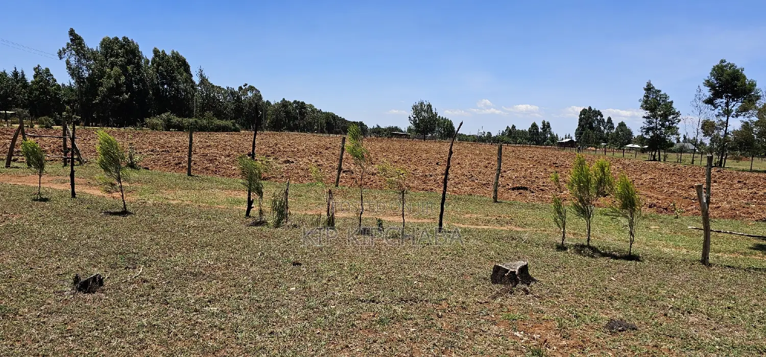 Prime 10 Acres Land for Sale in Eldoret, Perfect for Small Business Investment in Kamagut