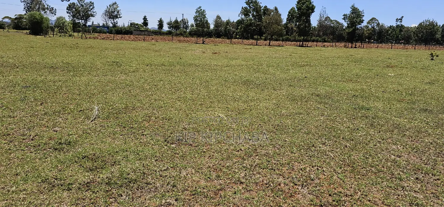 Prime 10 Acres Land for Sale in Eldoret, Perfect for Small Business Investment in Kamagut
