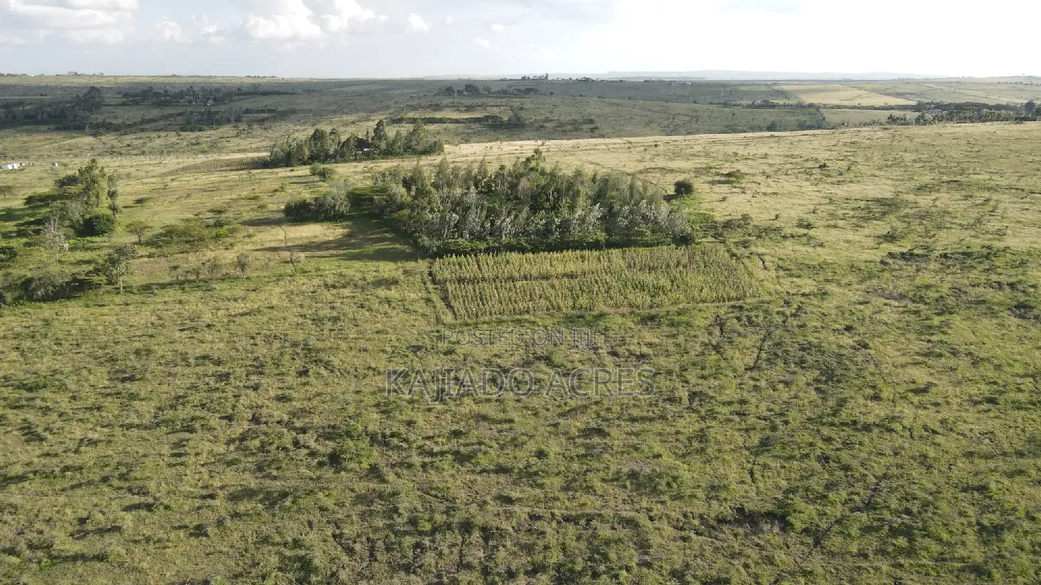 10 Acres Oloirien at 1.8m Per Acre in Oloosirkon/Sholinke