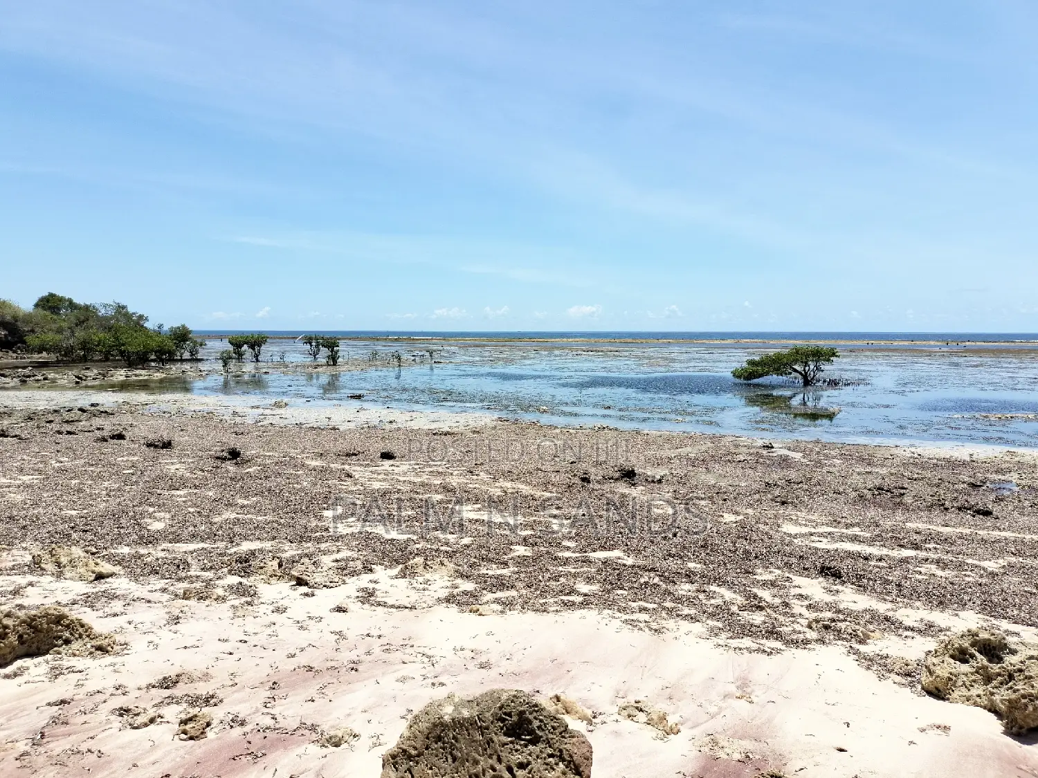 8.5 Acres of Oceanfront Property in Msambweni in Kinondo