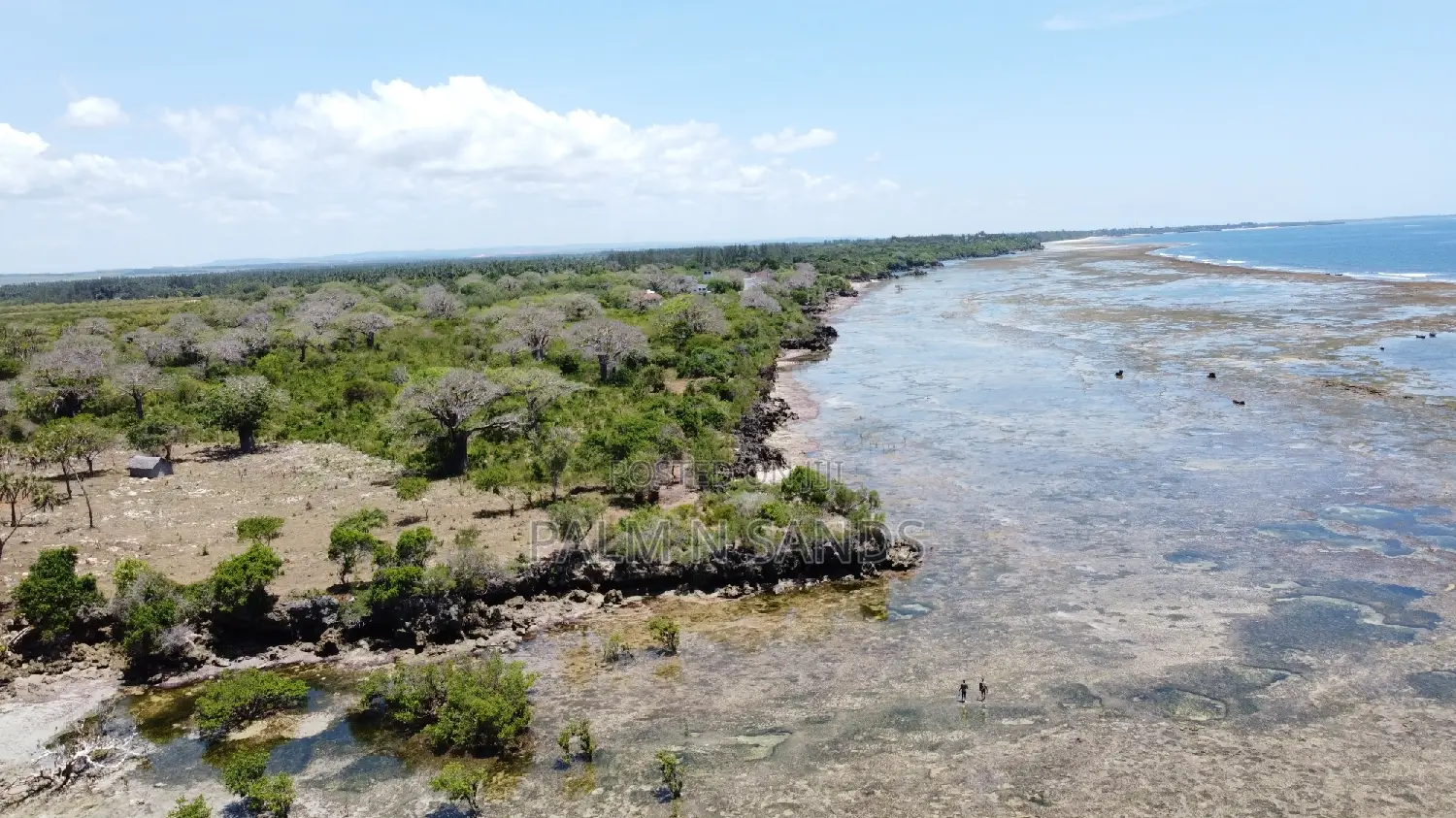 8.5 Acres of Oceanfront Property in Msambweni in Kinondo