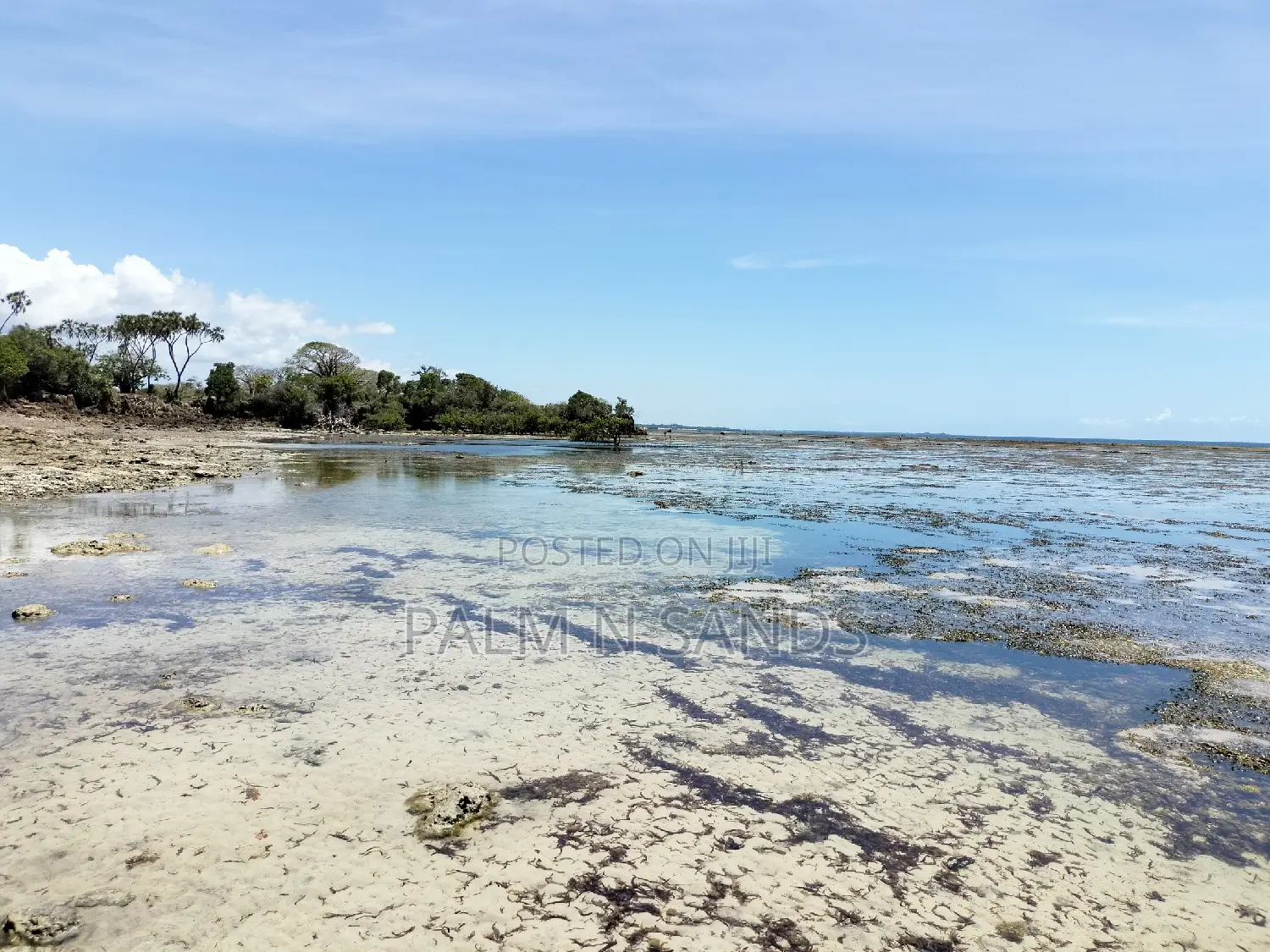 8.5 Acres of Oceanfront Property in Msambweni in Kinondo