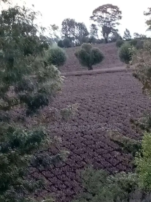 Two-Acre Land Offer: Premium Property at Competitive Price in Parklands/Highridge