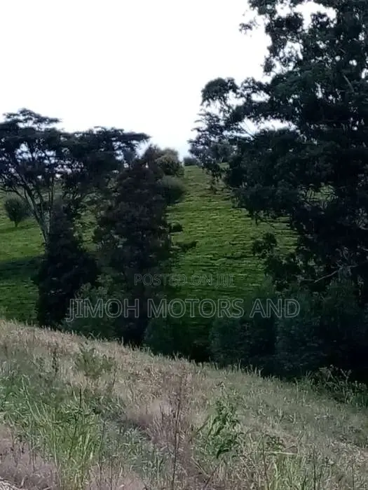 Two-Acre Land Offer: Premium Property at Competitive Price in Parklands/Highridge