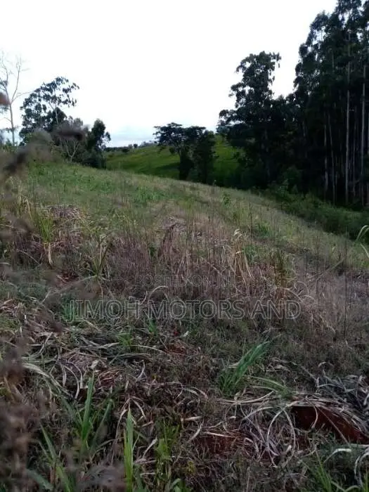 Two-Acre Land Offer: Premium Property at Competitive Price in Parklands/Highridge