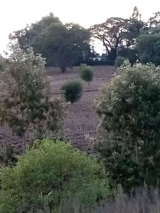 Two-Acre Land Offer: Premium Property at Competitive Price in Parklands/Highridge