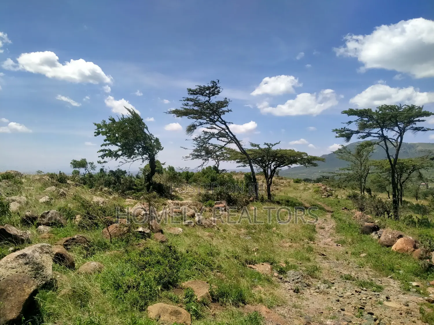 4 Acres with Magadi Panorama in Kiserian Kona Baridi: A Hidden Gem! in Kiserian