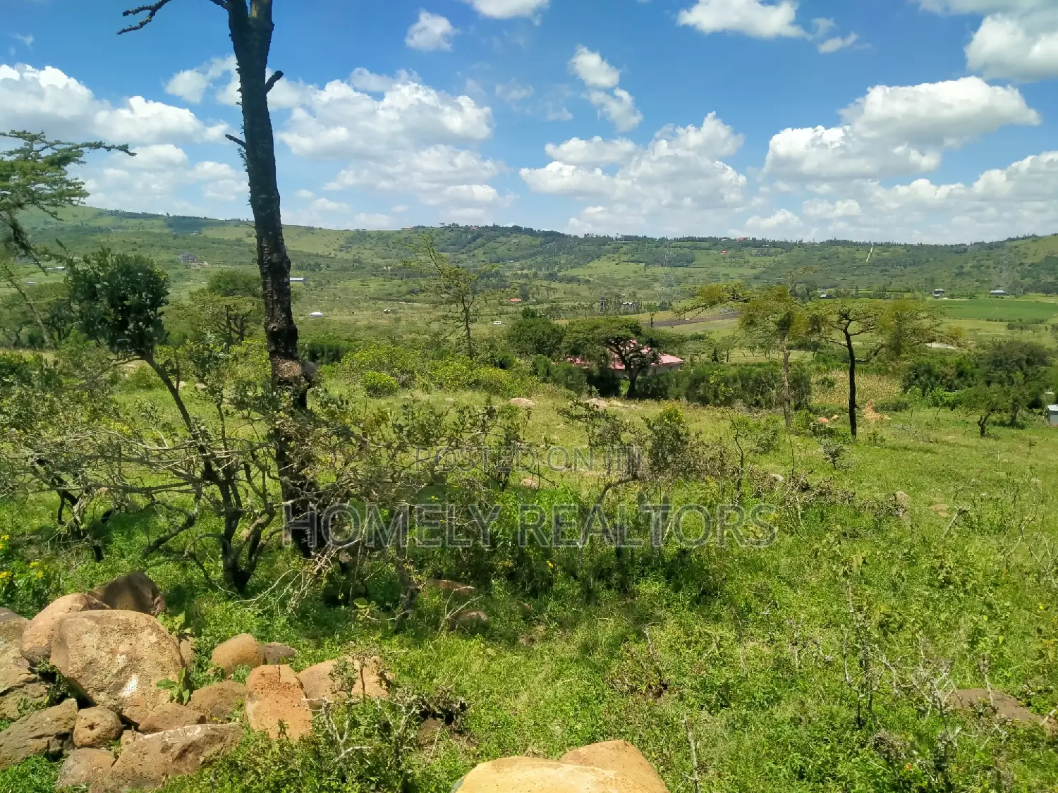 4 Acres with Magadi Panorama in Kiserian Kona Baridi: A Hidden Gem! in Kiserian