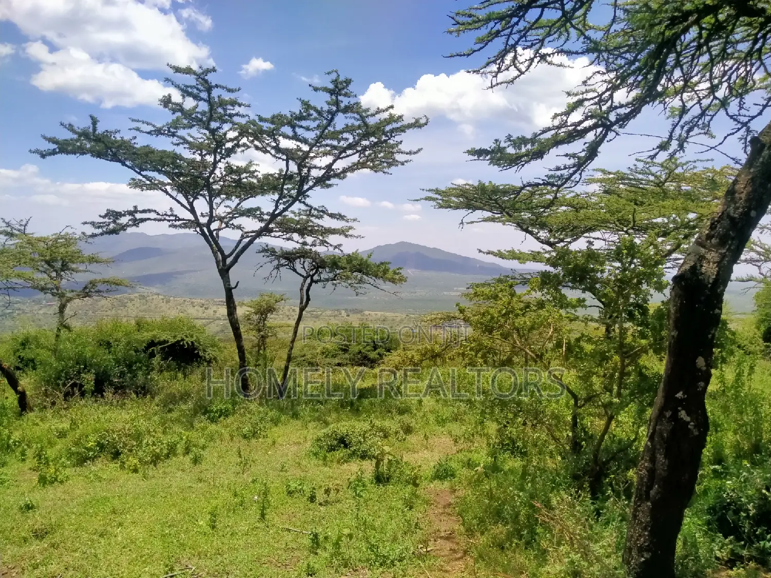 14-Acre Country Land for Sale in Kiserian, Kona Baridi - Near Tarmac in Kiserian