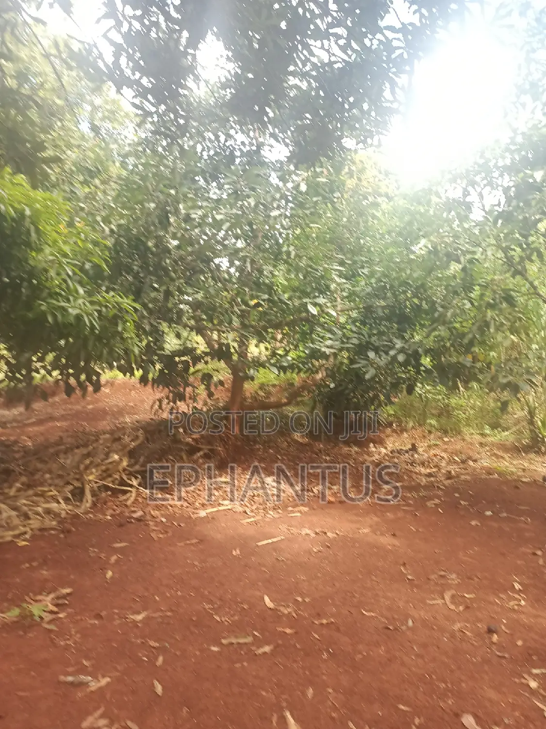 2 Acres for Sale in Kenyatta Road Kimunyu Area in Kenyatta Road / Theta 