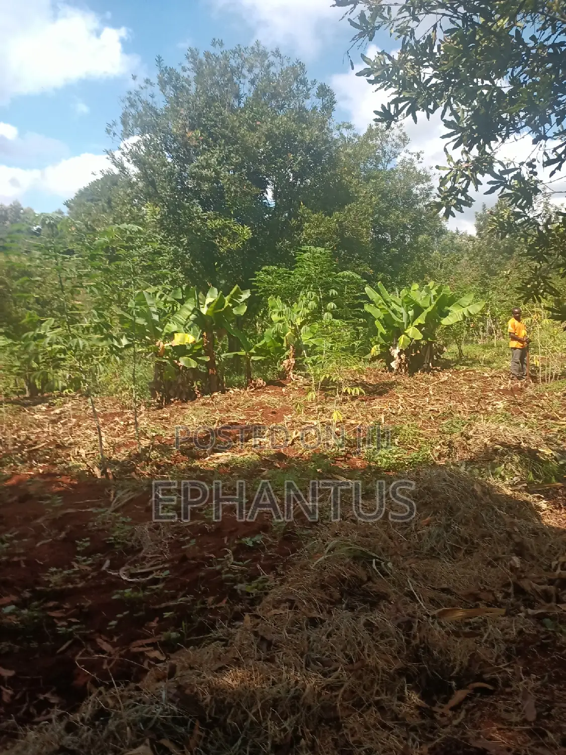 2 Acres for Sale in Kenyatta Road Kimunyu Area in Kenyatta Road / Theta 