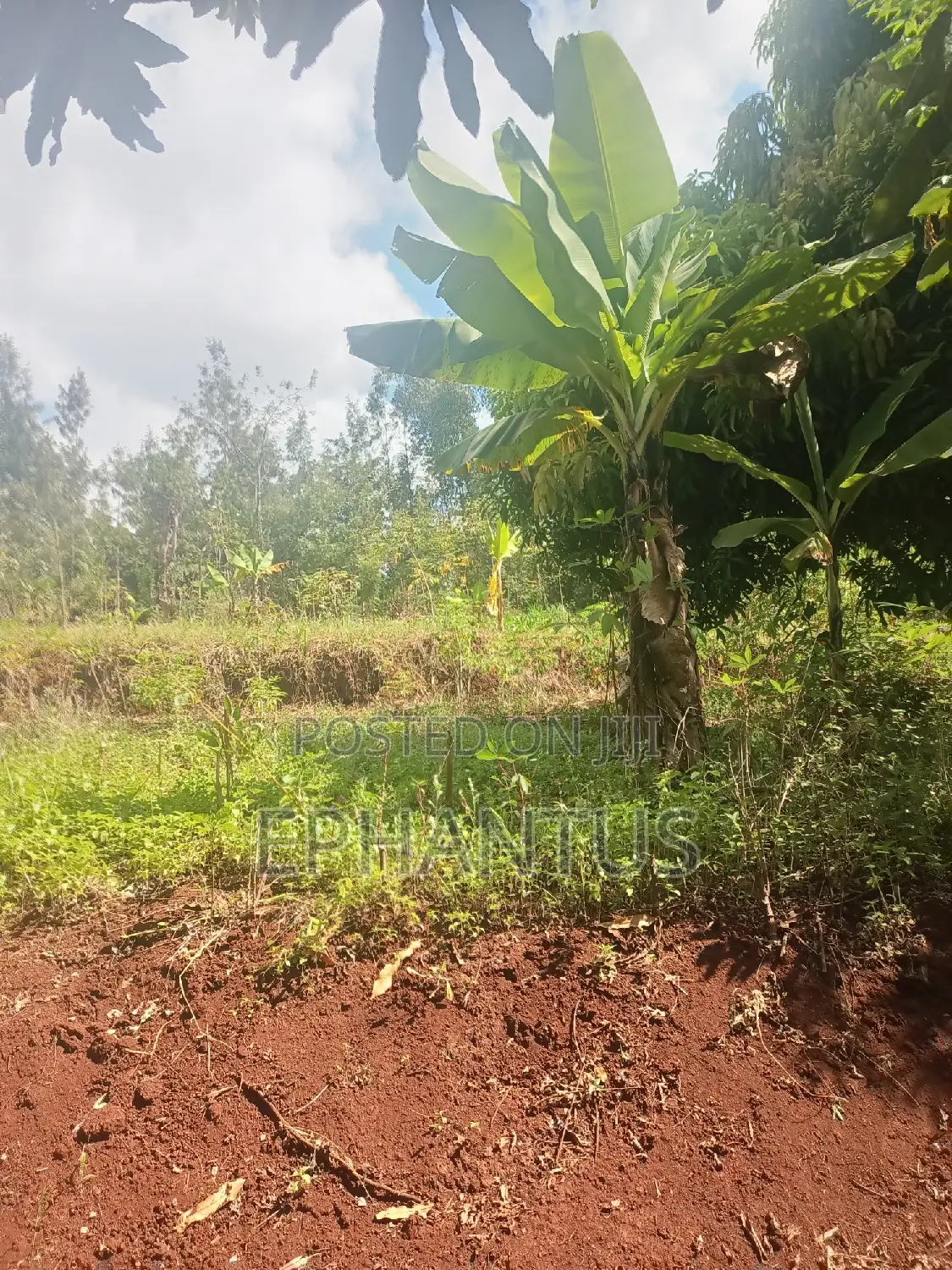 2 Acres for Sale in Kenyatta Road Kimunyu Area in Kenyatta Road / Theta 