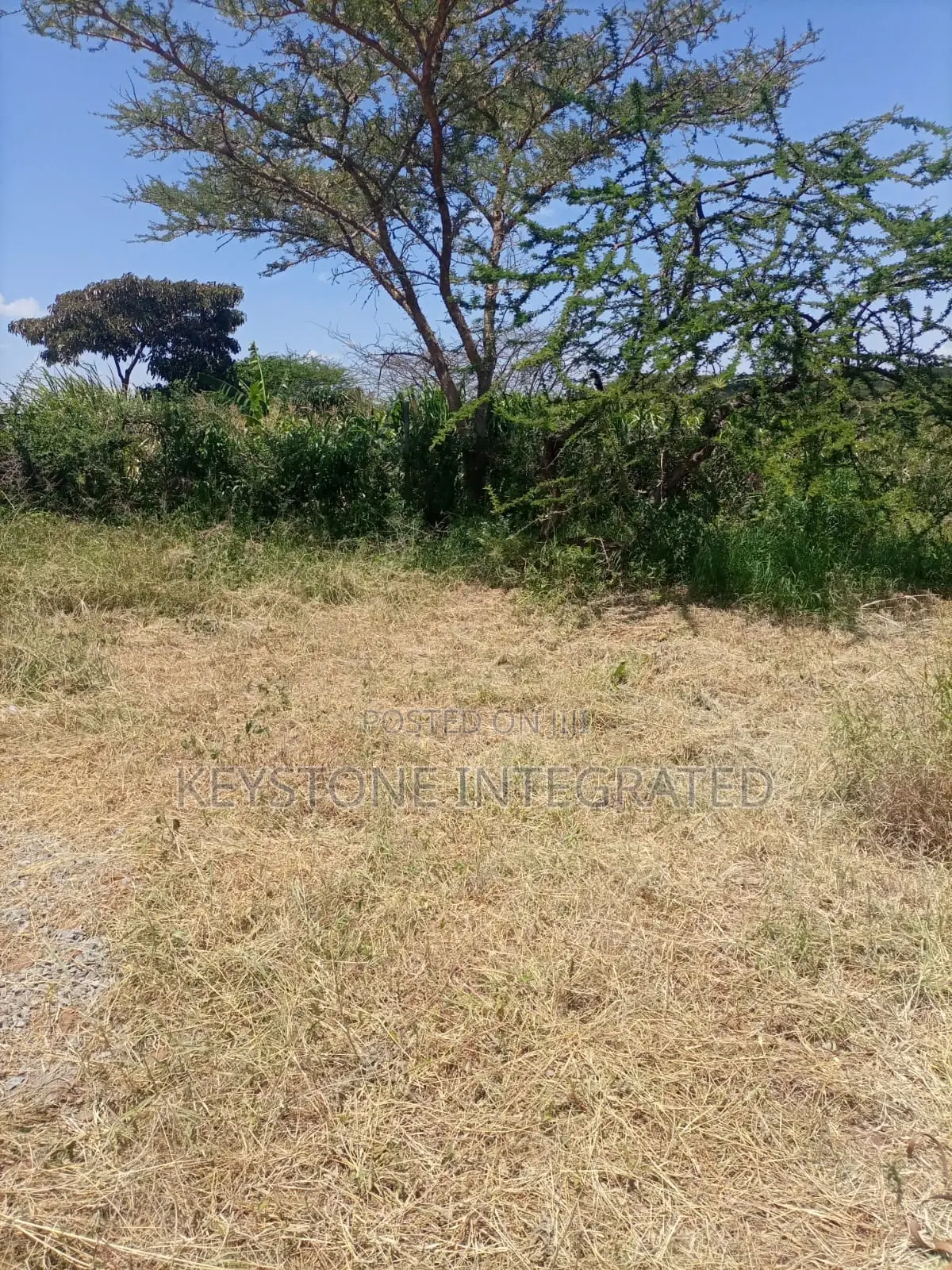 Kajiado Land for Sale: Ideal Investment Opportunity in Namanga