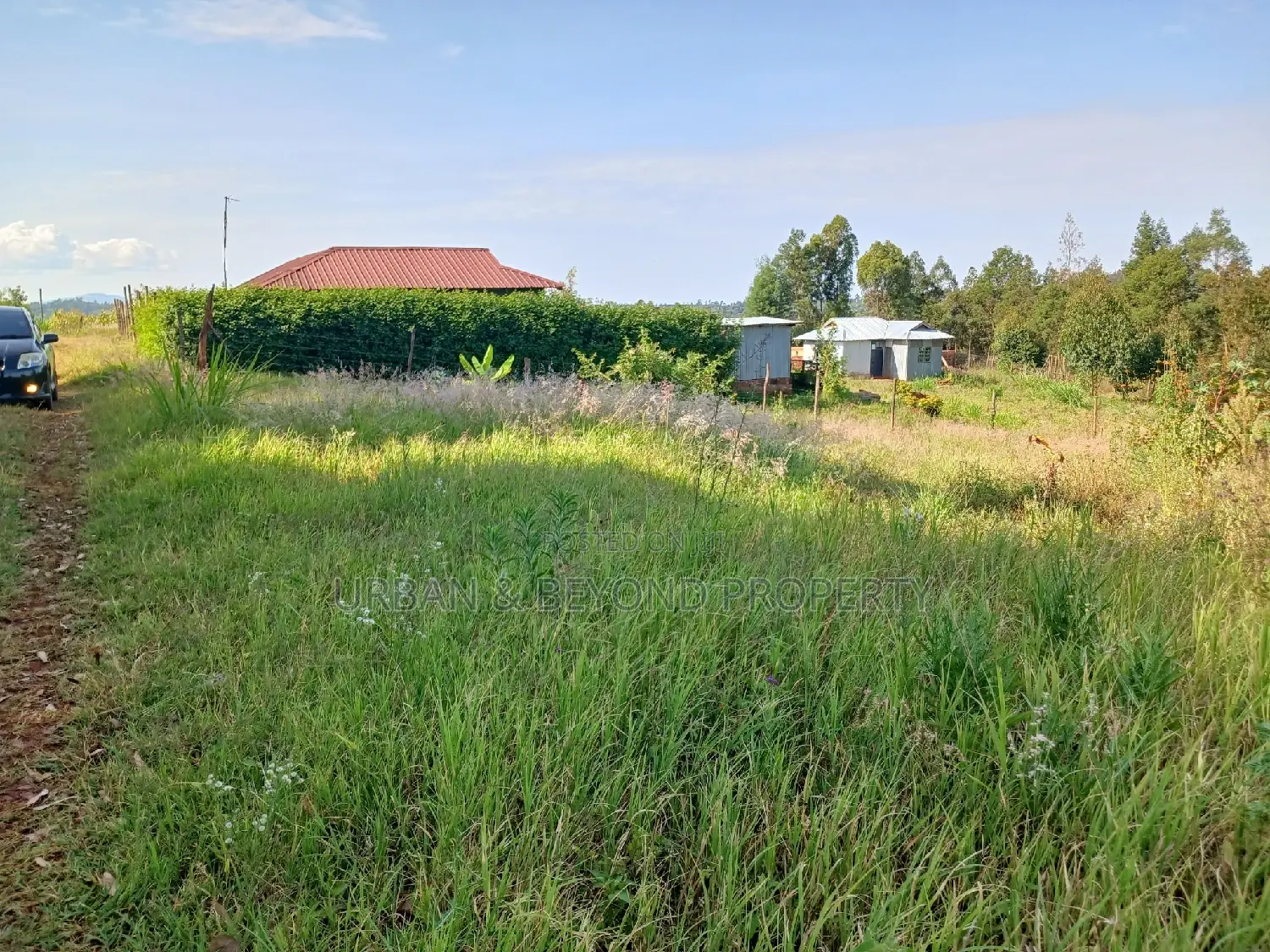 Budget-Friendly Prime Plot (50 by 100ft) - Seize the Opportunity Now in Kikuyu