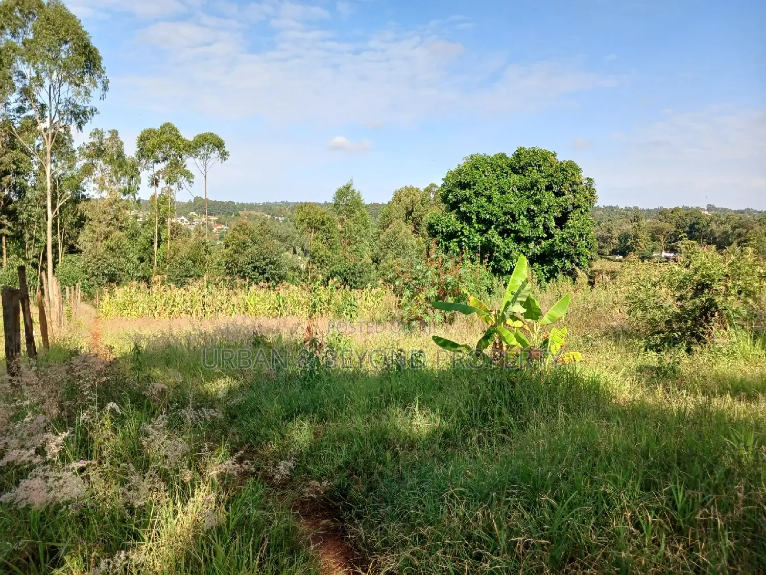 Budget-Friendly Prime Plot (50 by 100ft) - Seize the Opportunity Now in Kikuyu