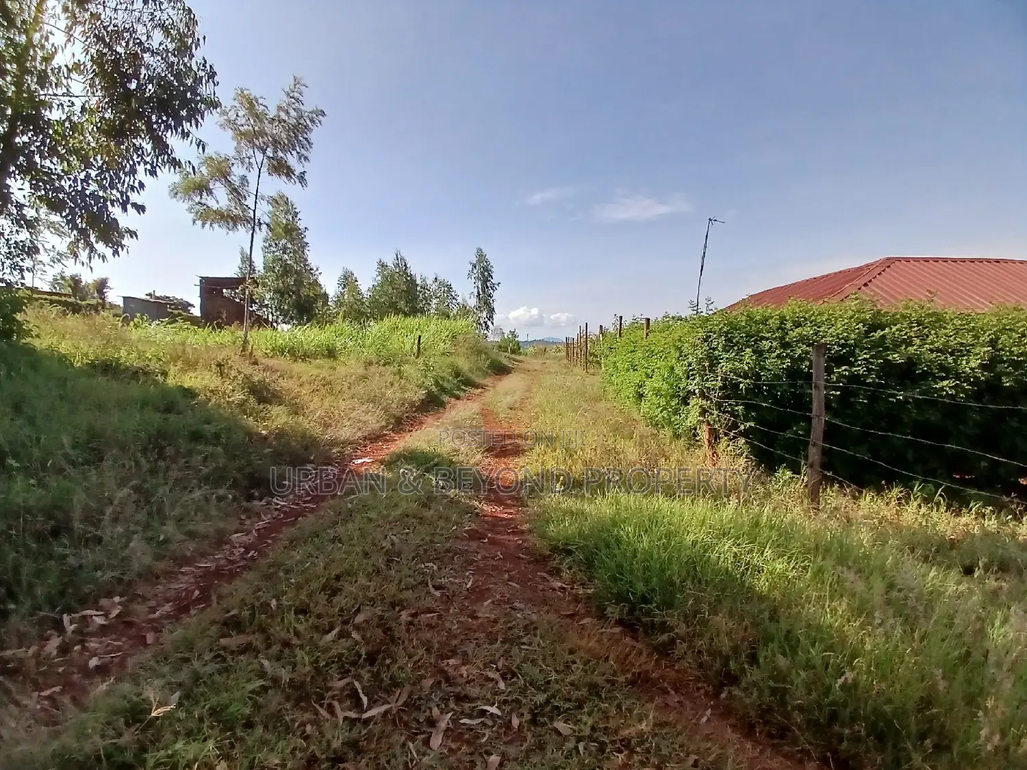 Budget-Friendly Prime Plot (50 by 100ft) - Seize the Opportunity Now in Kikuyu