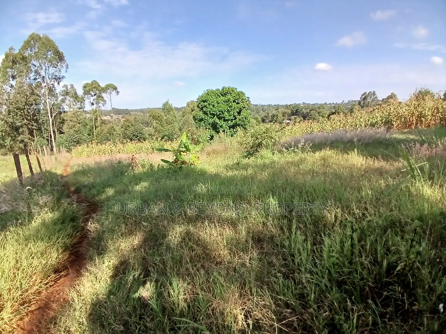 Budget-Friendly Prime Plot (50 by 100ft) - Seize the Opportunity Now in Kikuyu