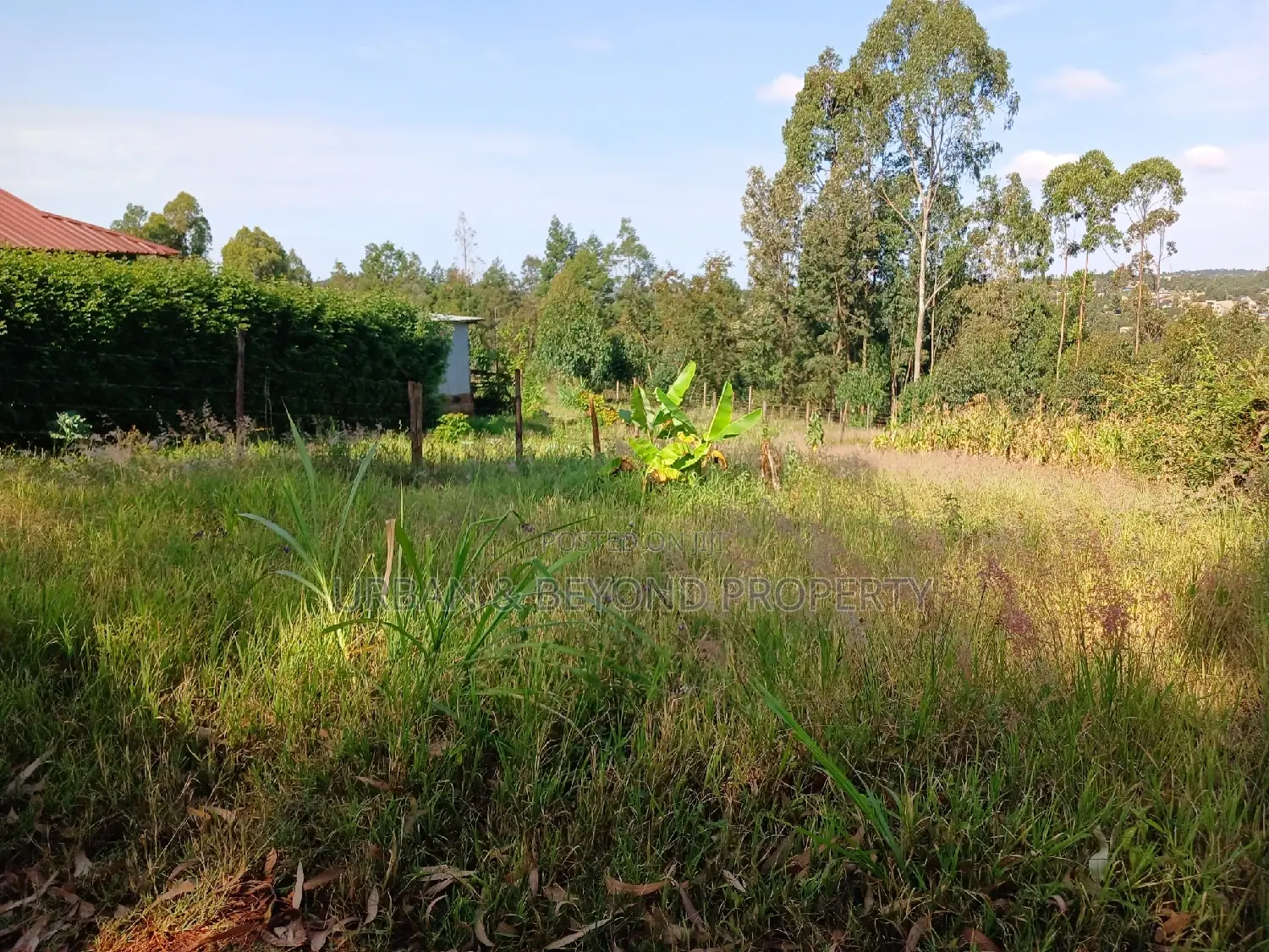 Budget-Friendly Prime Plot (50 by 100ft) - Seize the Opportunity Now in Kikuyu