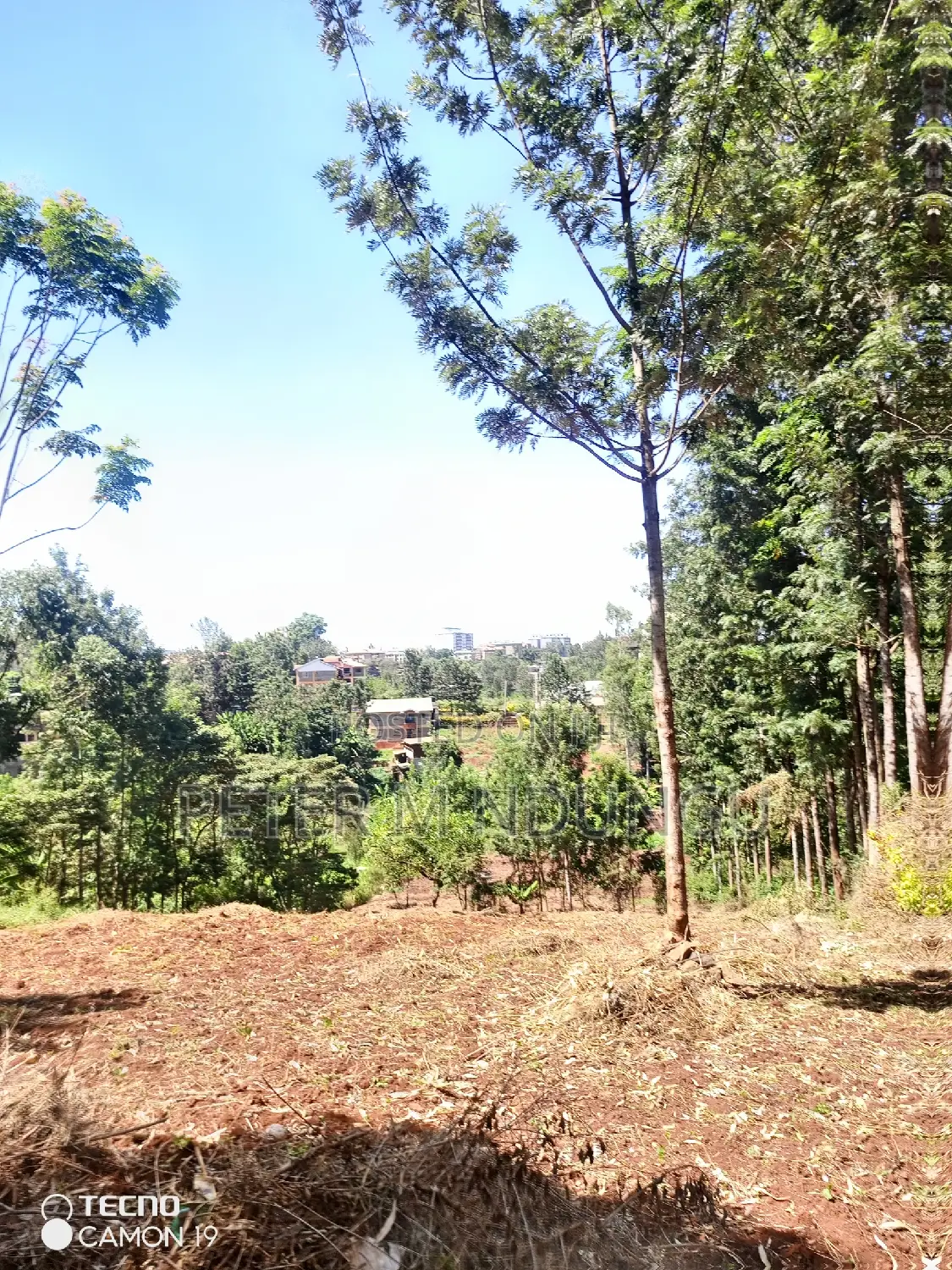 Ruaka Town 1/2 Acre Land For Sale - Seize Your Dream Home Today! in Ruaka