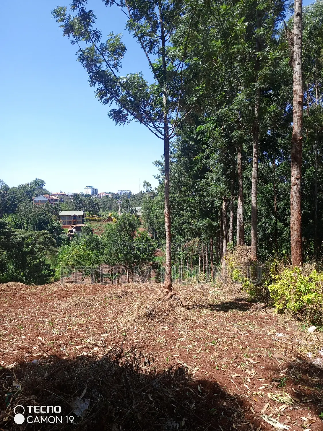 Ruaka Town 1/2 Acre Land For Sale - Seize Your Dream Home Today! in Ruaka