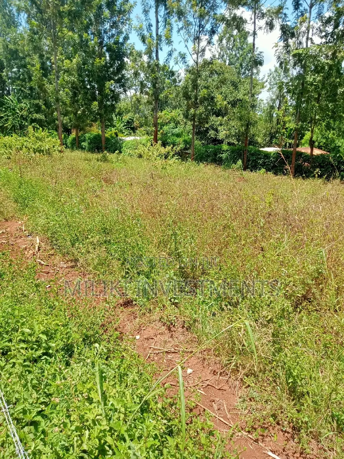 Makuyu Acreage for Sale: Seize Your Kenyan Real Estate Dream in Kamahuha