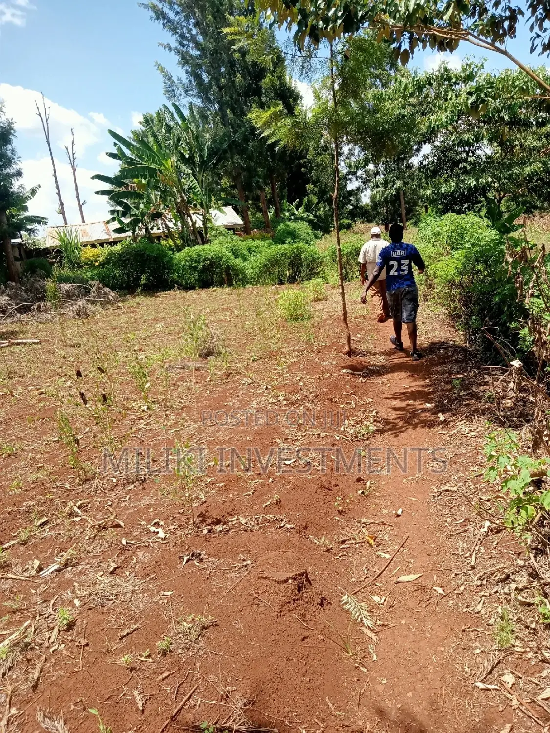 Makuyu Acreage for Sale: Seize Your Kenyan Real Estate Dream in Kamahuha