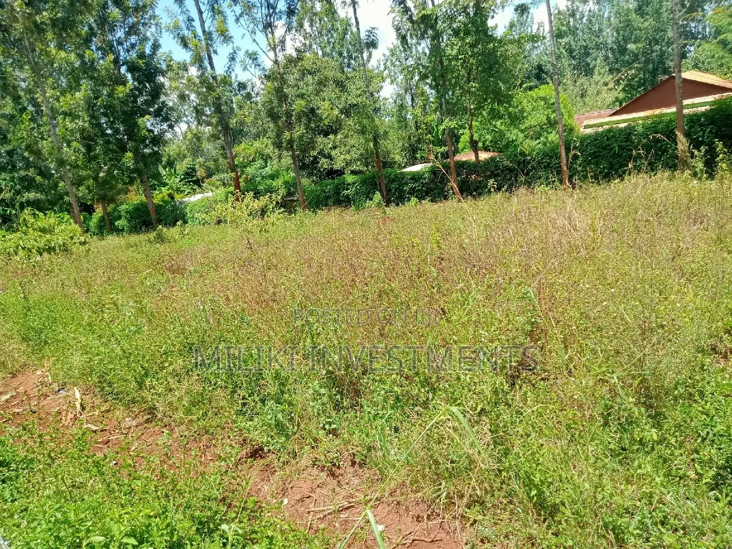 Makuyu Acreage for Sale: Seize Your Kenyan Real Estate Dream in Kamahuha