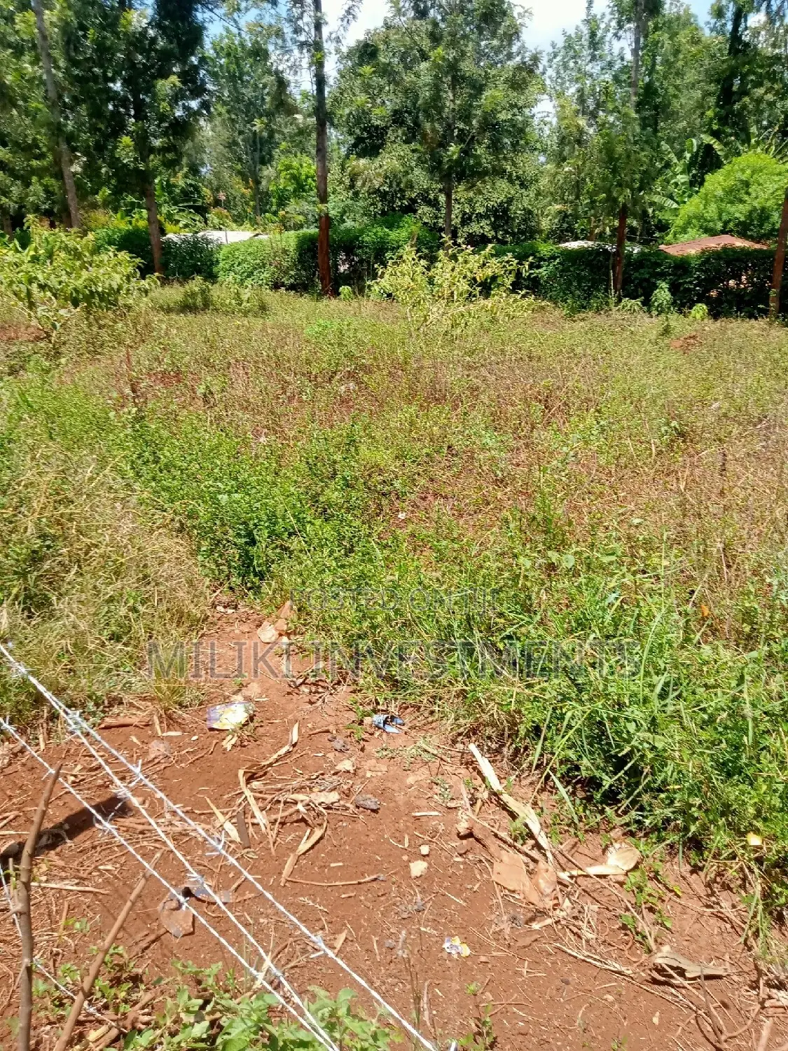 Makuyu Acreage for Sale: Seize Your Kenyan Real Estate Dream in Kamahuha