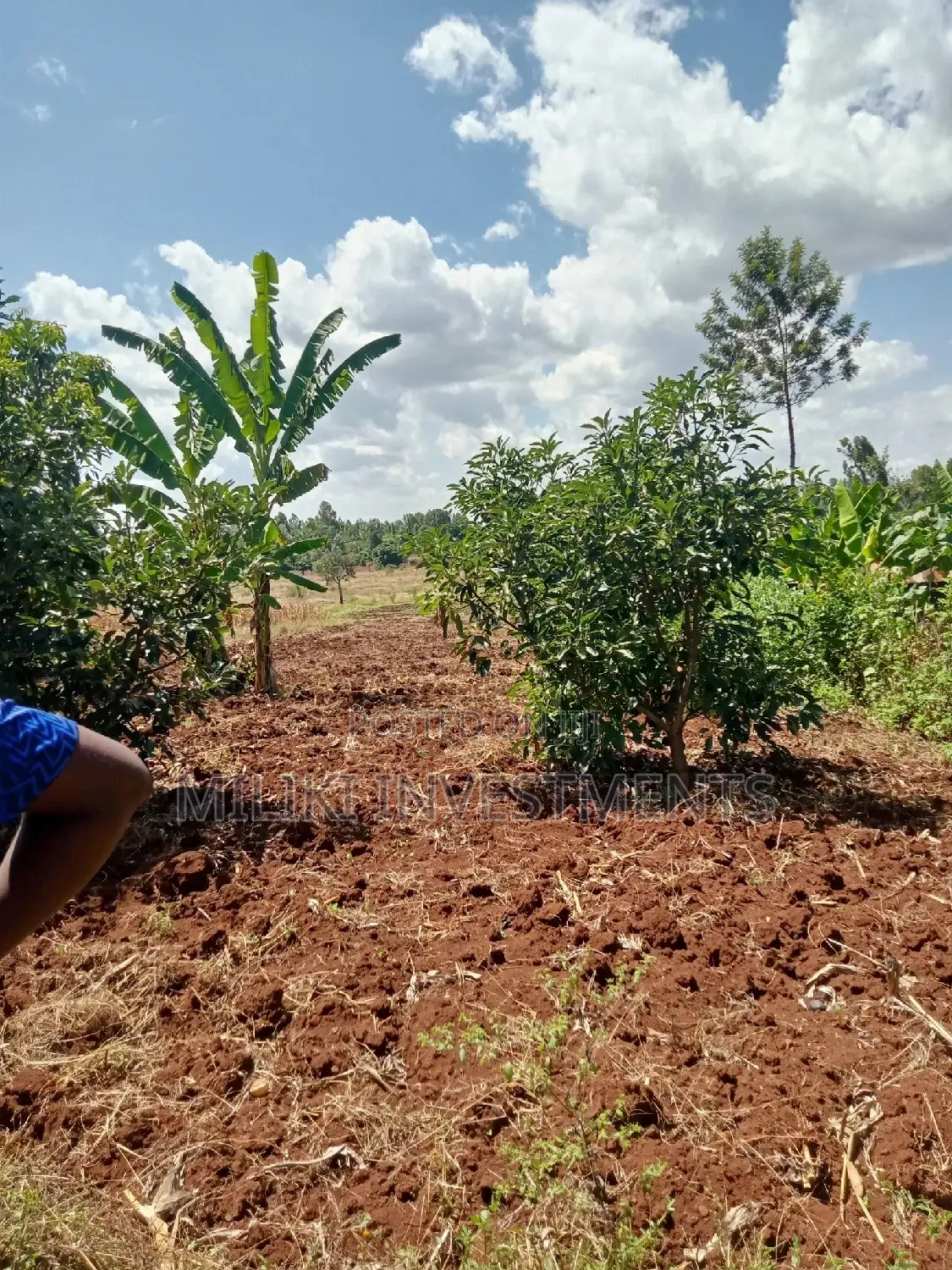 4-Acre Land Parcel in Makuyu, Thika: Buy Now, Build Your Dream Home or Farm in Kamahuha