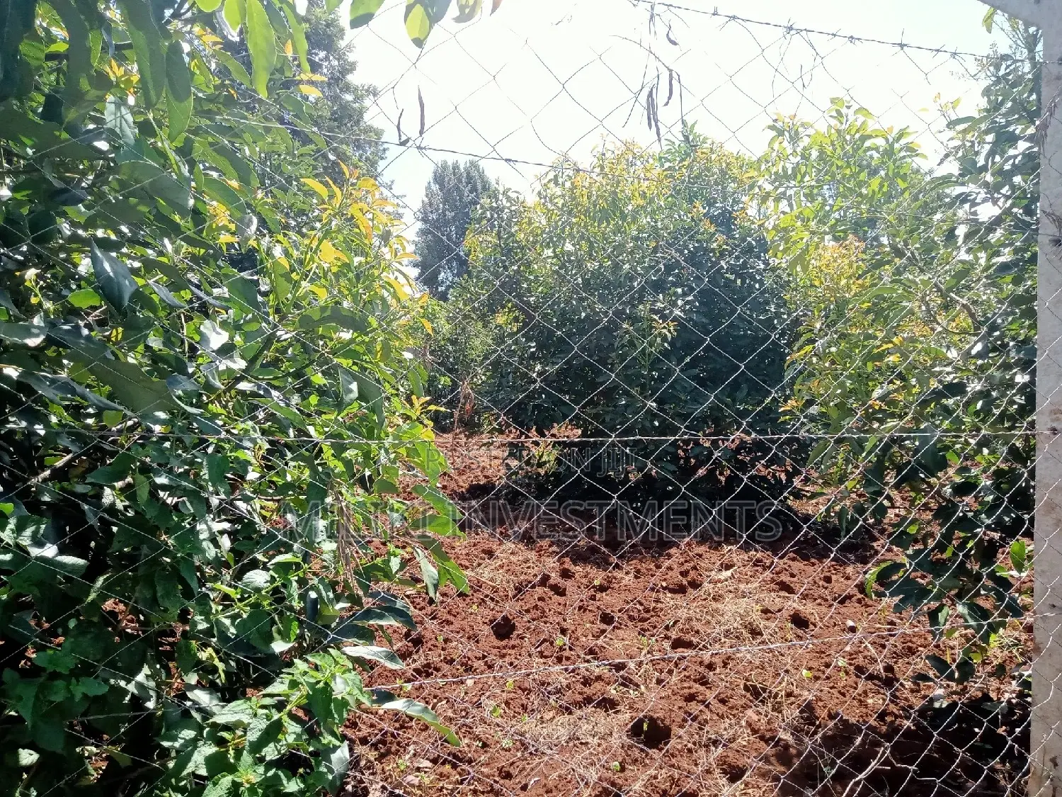 4-Acre Land Parcel in Makuyu, Thika: Buy Now, Build Your Dream Home or Farm in Kamahuha