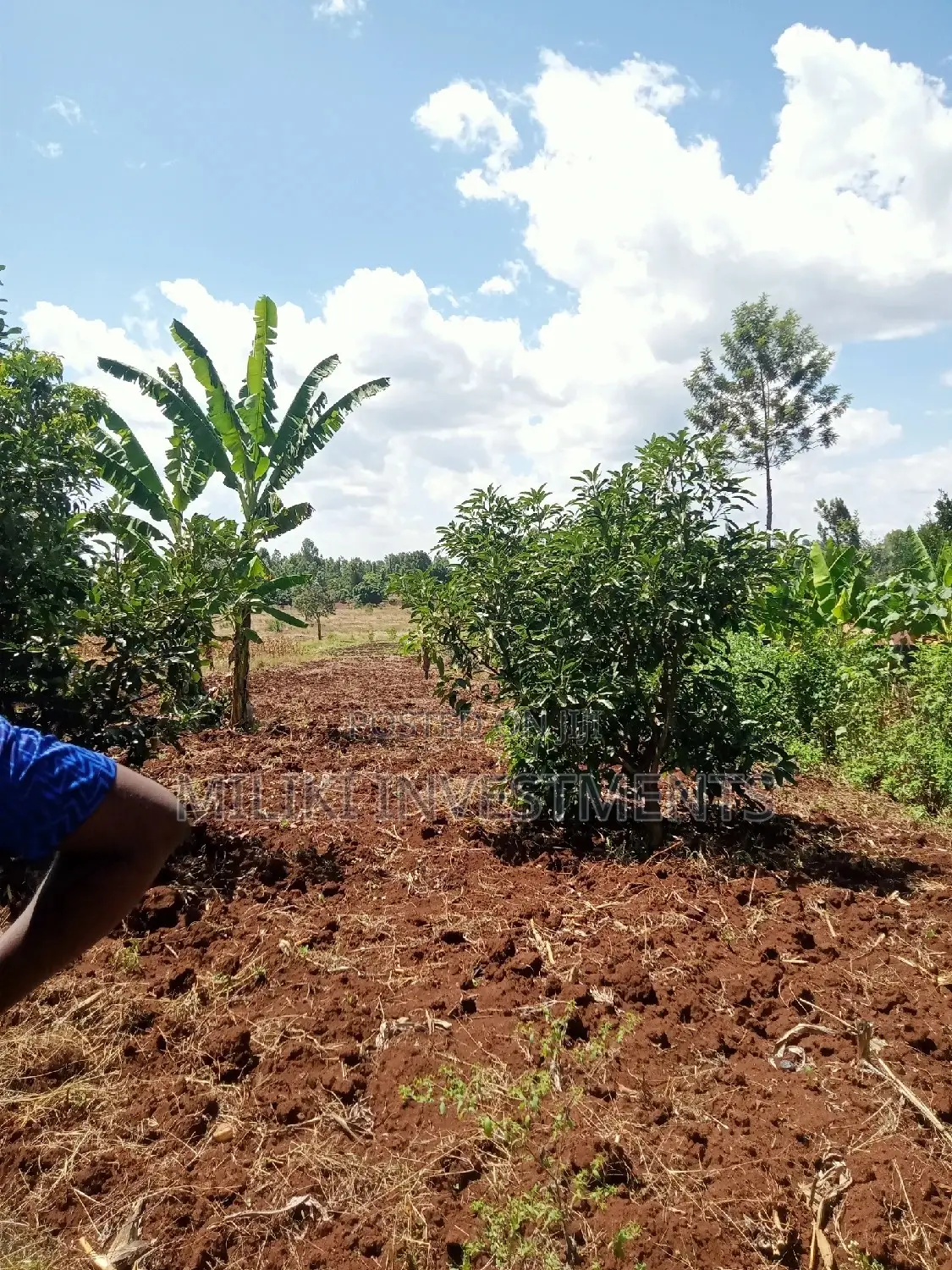 4-Acre Land Parcel in Makuyu, Thika: Buy Now, Build Your Dream Home or Farm in Kamahuha