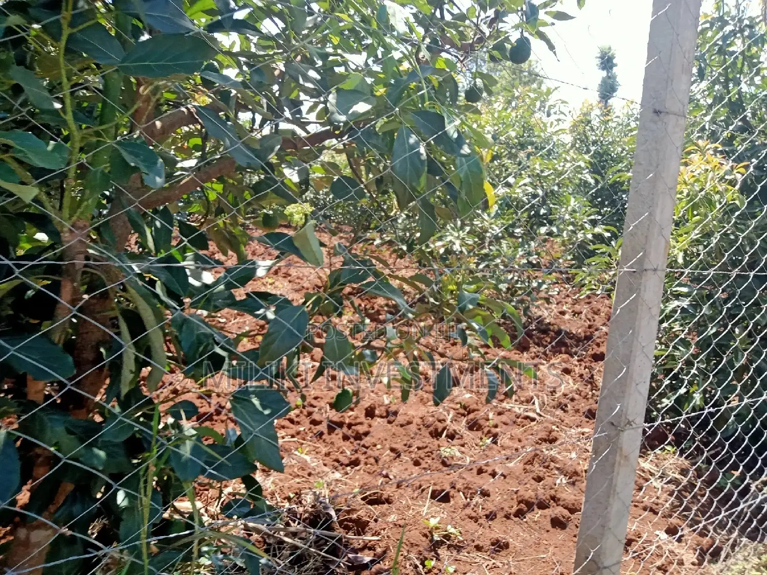 4-Acre Land Parcel in Makuyu, Thika: Buy Now, Build Your Dream Home or Farm in Kamahuha