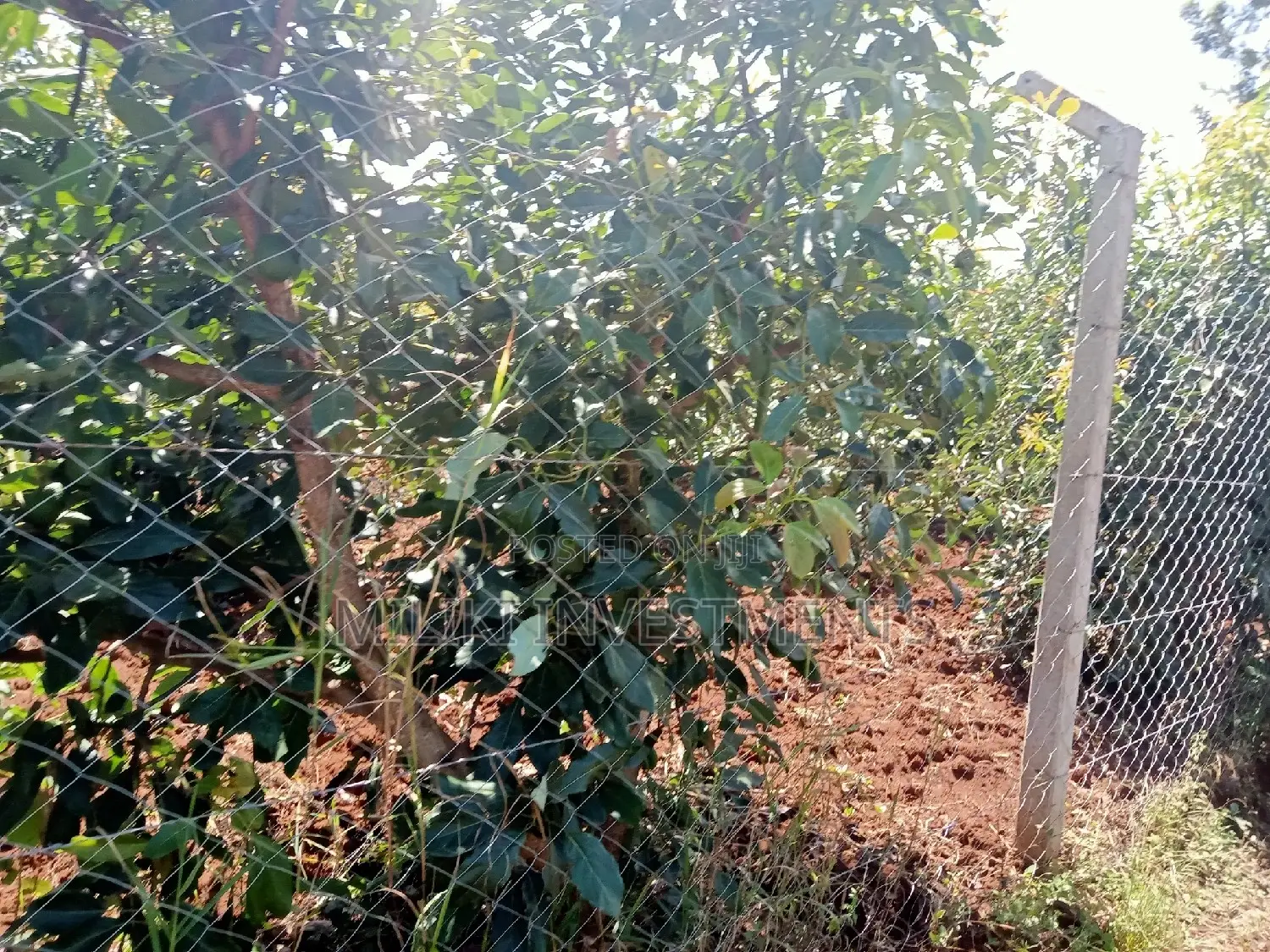 4-Acre Land Parcel in Makuyu, Thika: Buy Now, Build Your Dream Home or Farm in Kamahuha