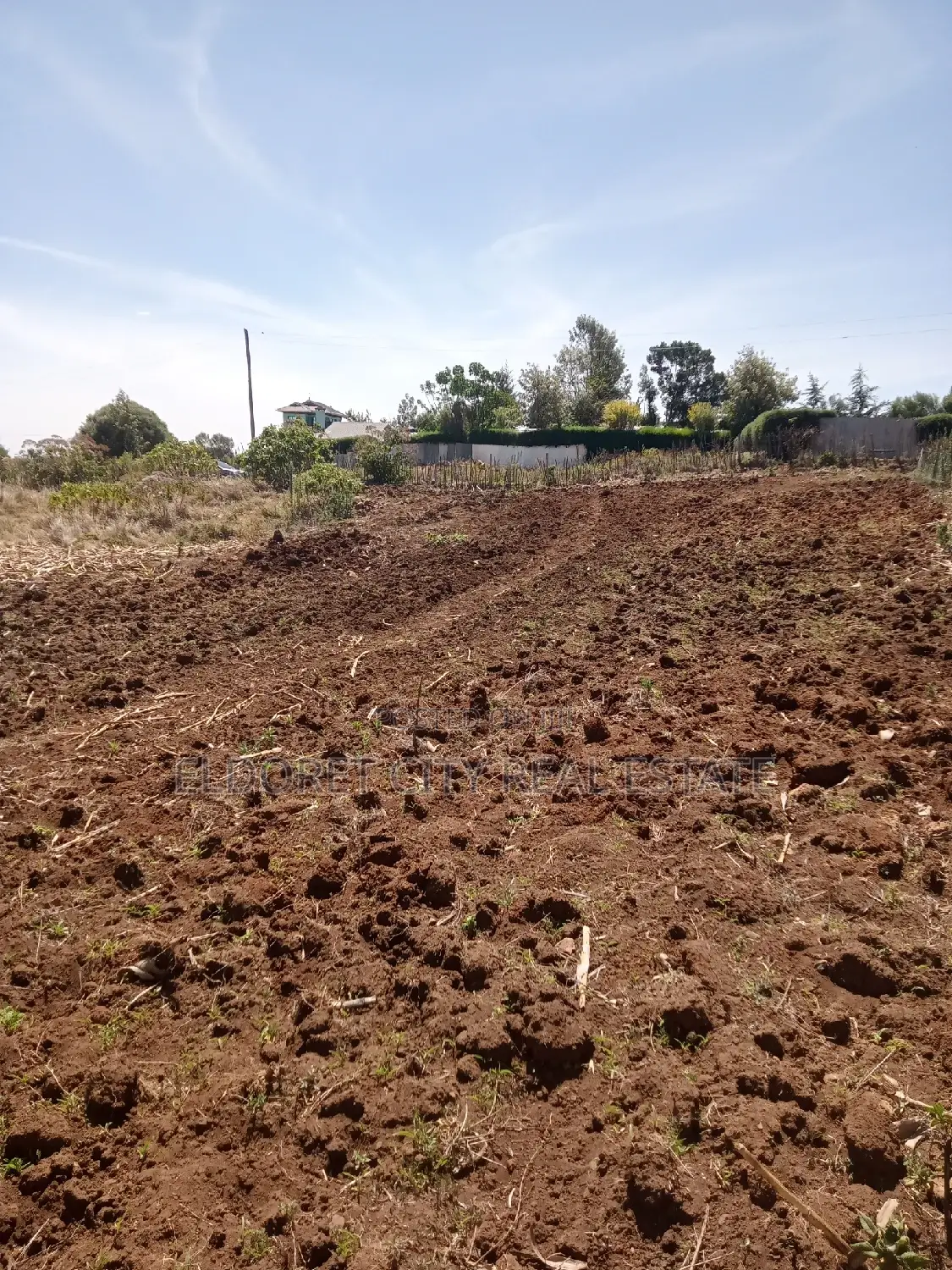 1/4 Plots Plot Misoi Area Kipkorgot in Kapsuswa
