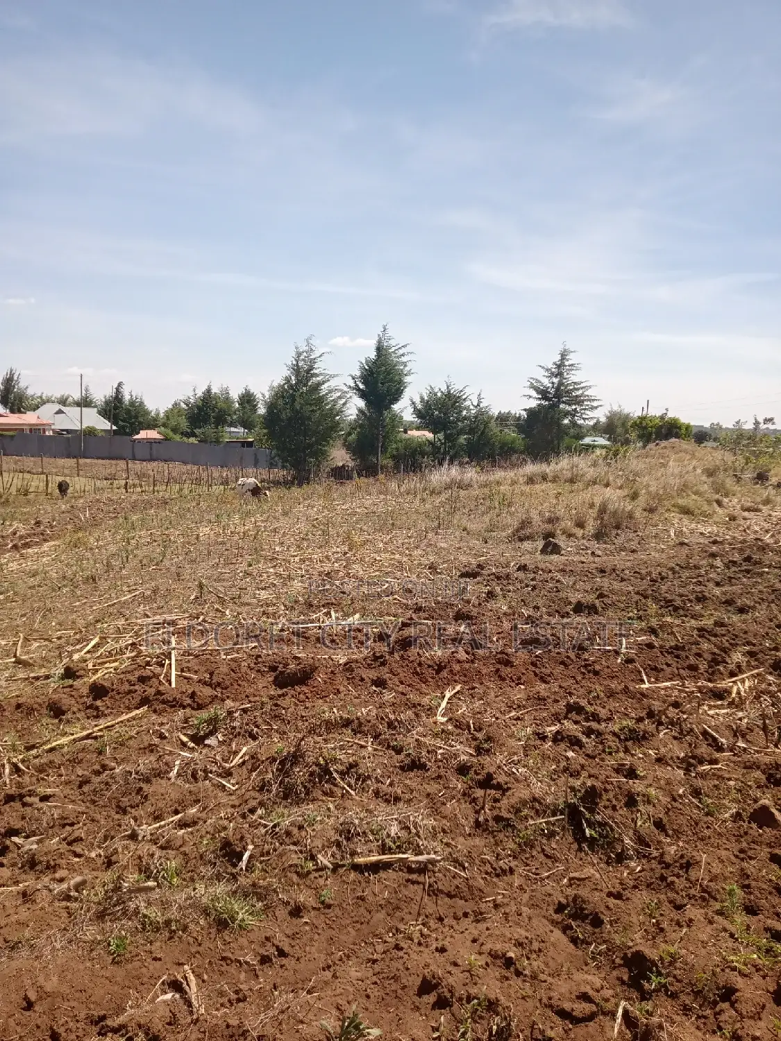 1/4 Plots Plot Misoi Area Kipkorgot in Kapsuswa